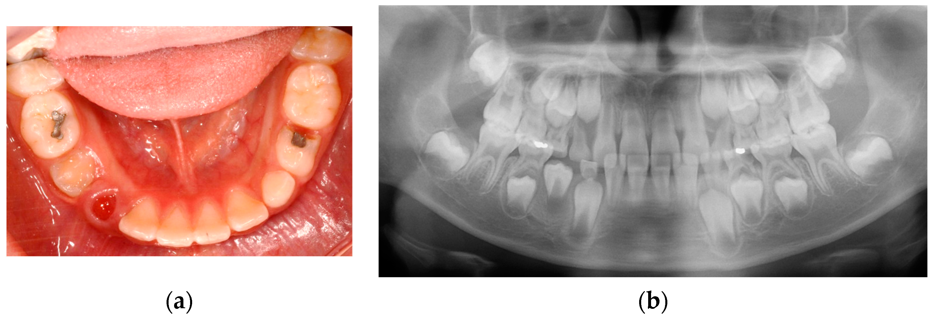 Applsci 13 11008 g009