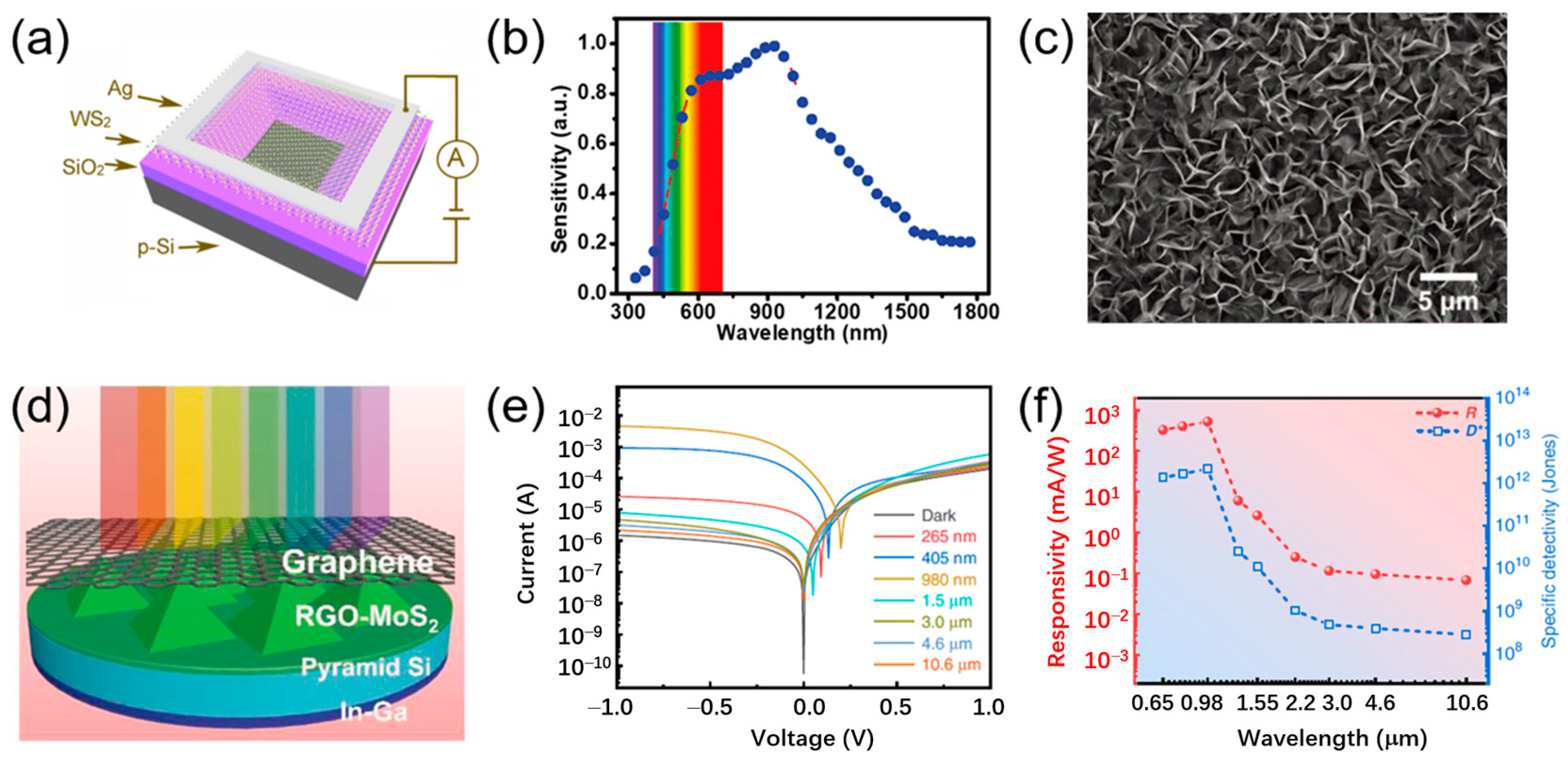 Applsci 13 11037 g005