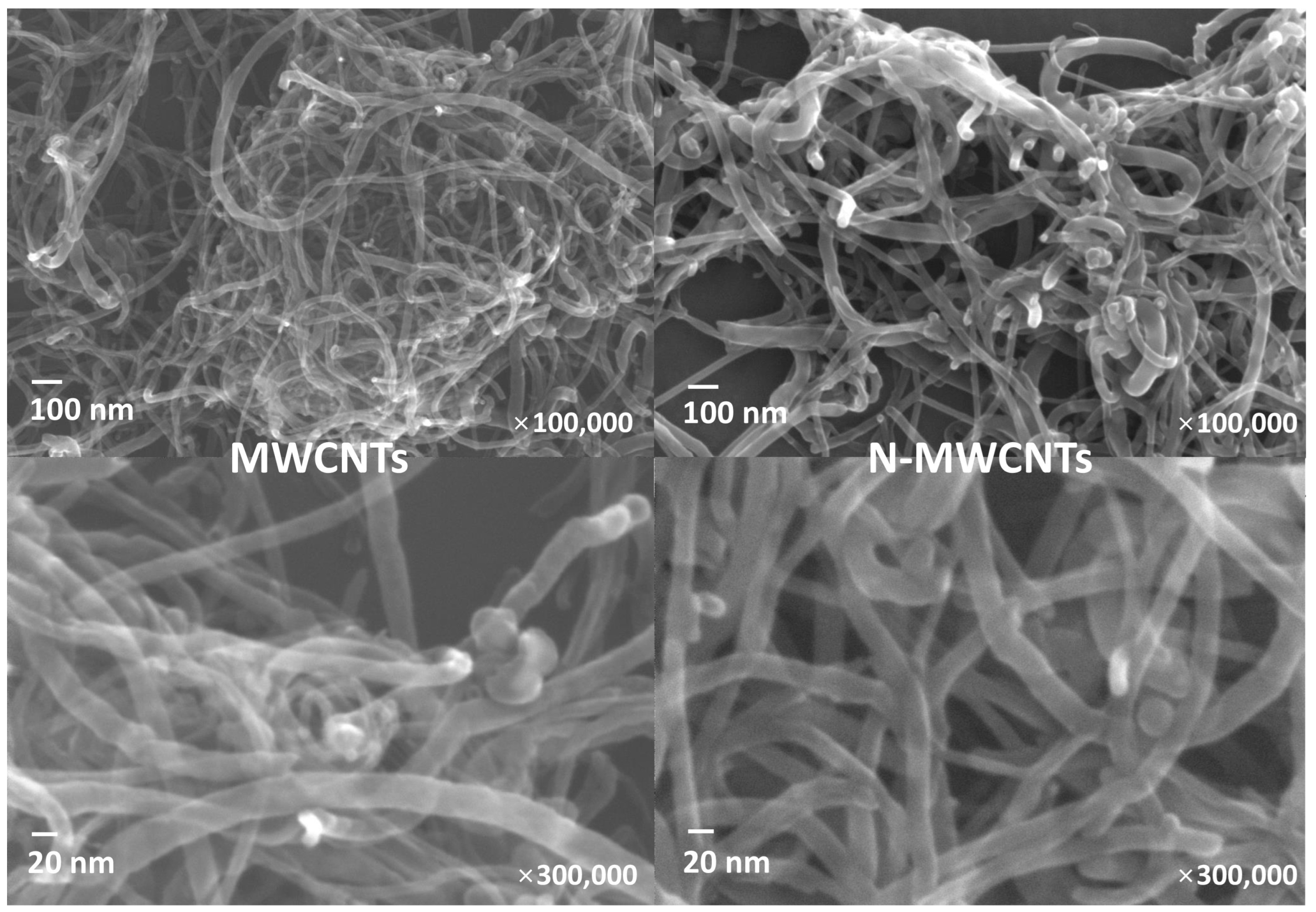 Applsci 13 11057 g004