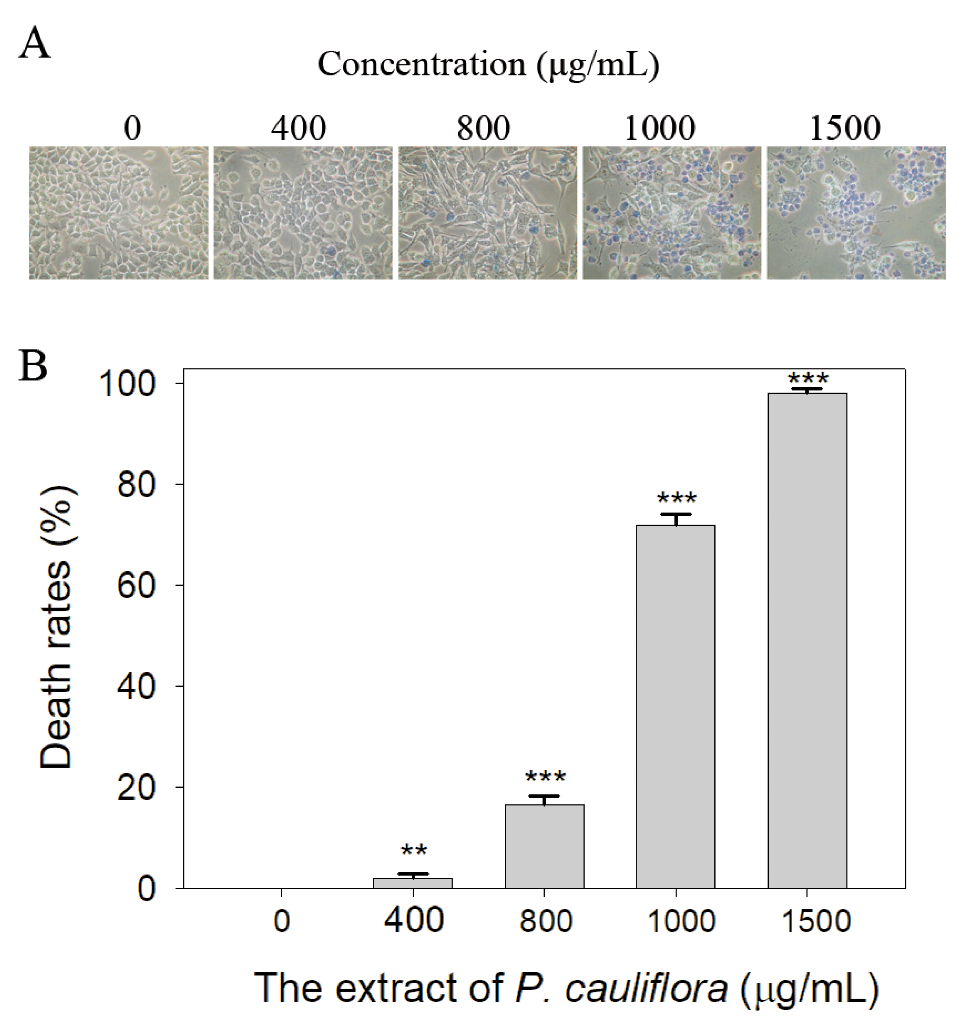 Applsci 13 11061 g005
