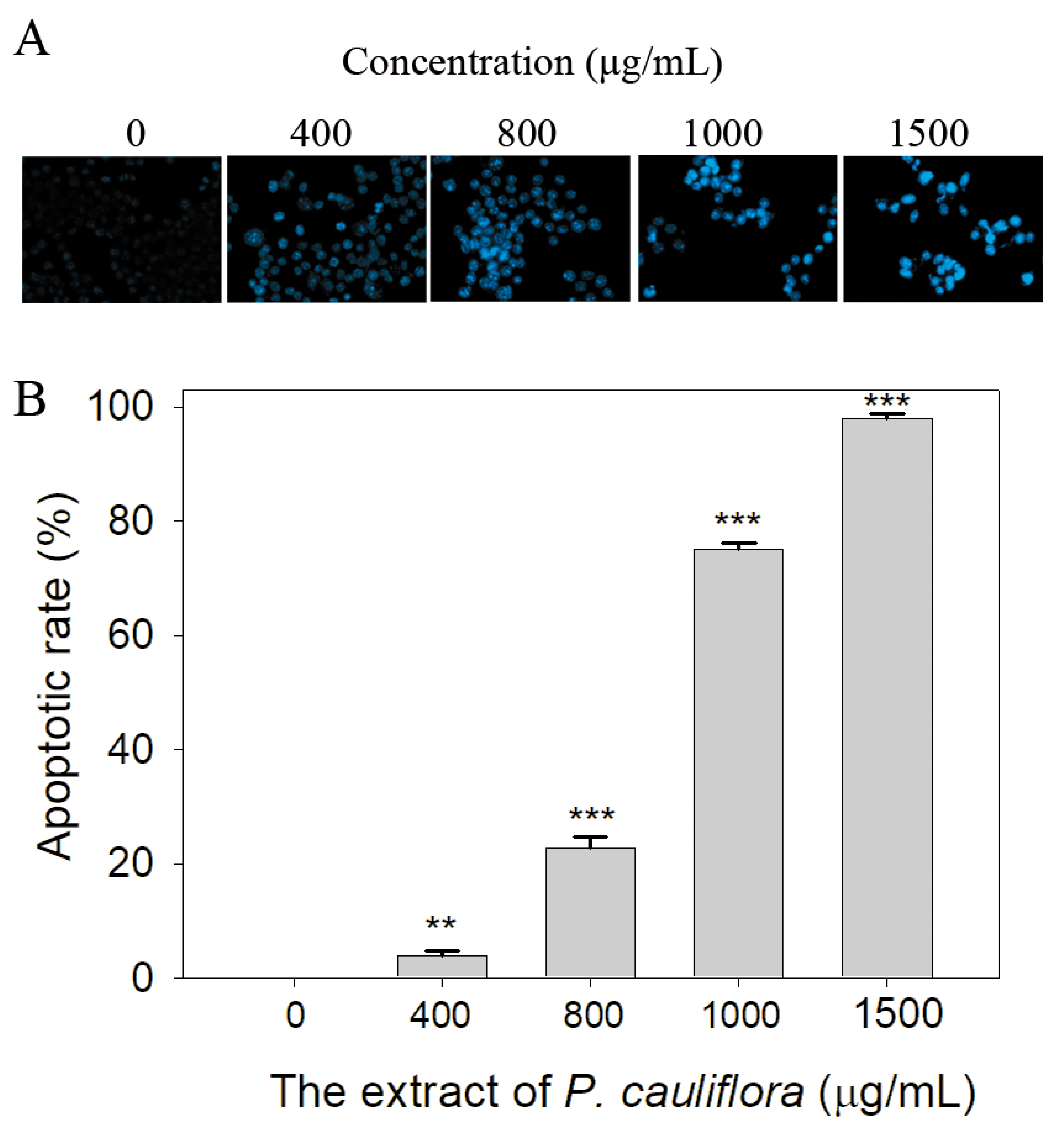 Applsci 13 11061 g006