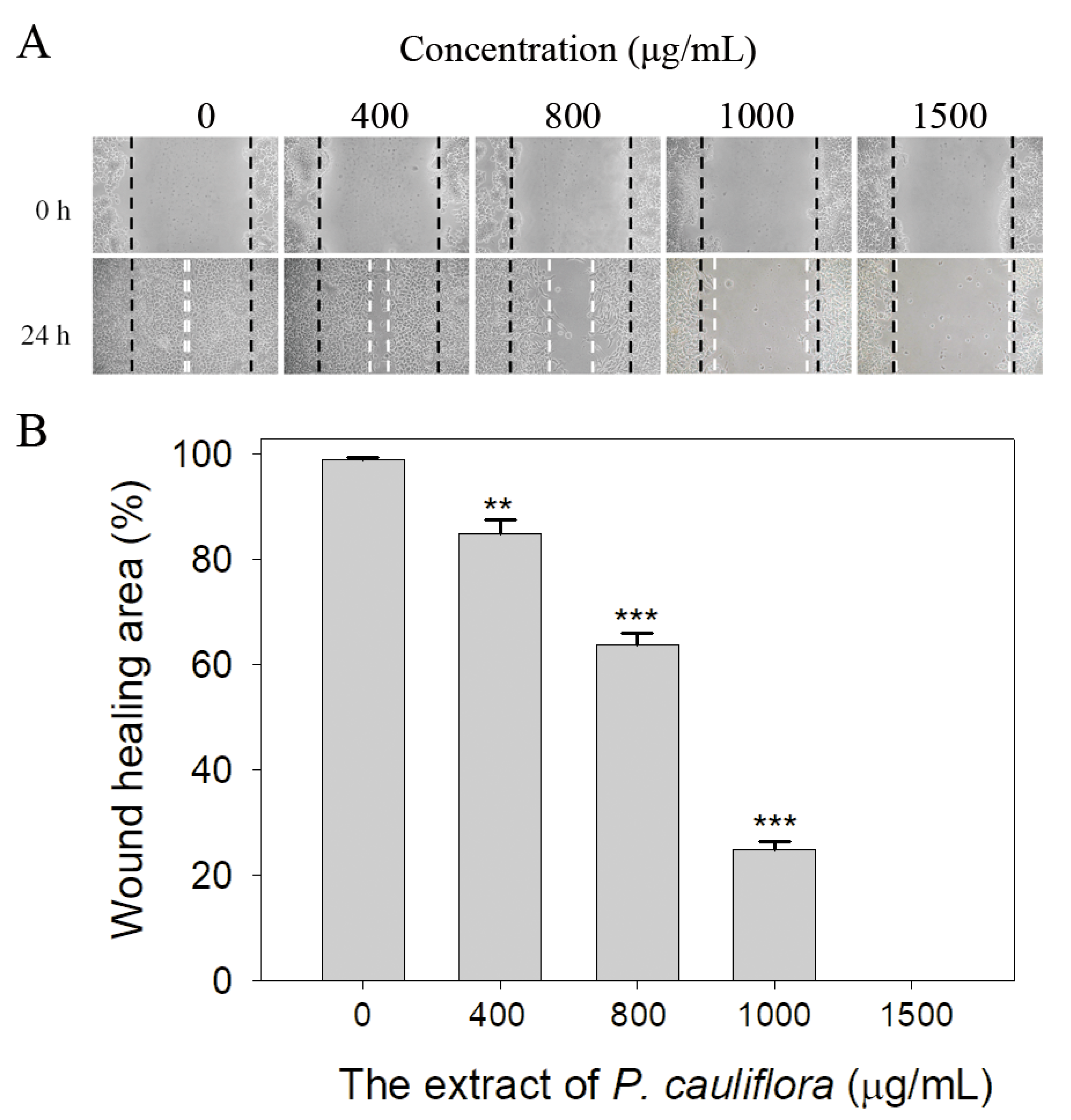 Applsci 13 11061 g007
