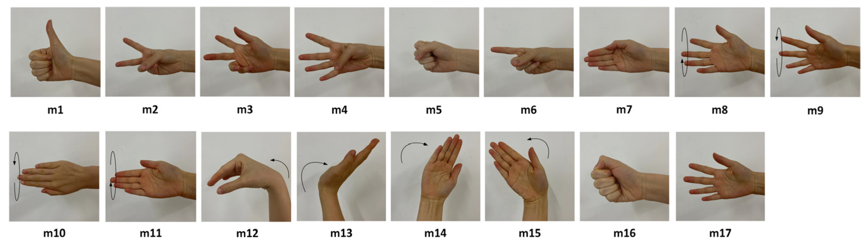 Applsci 13 11071 g002