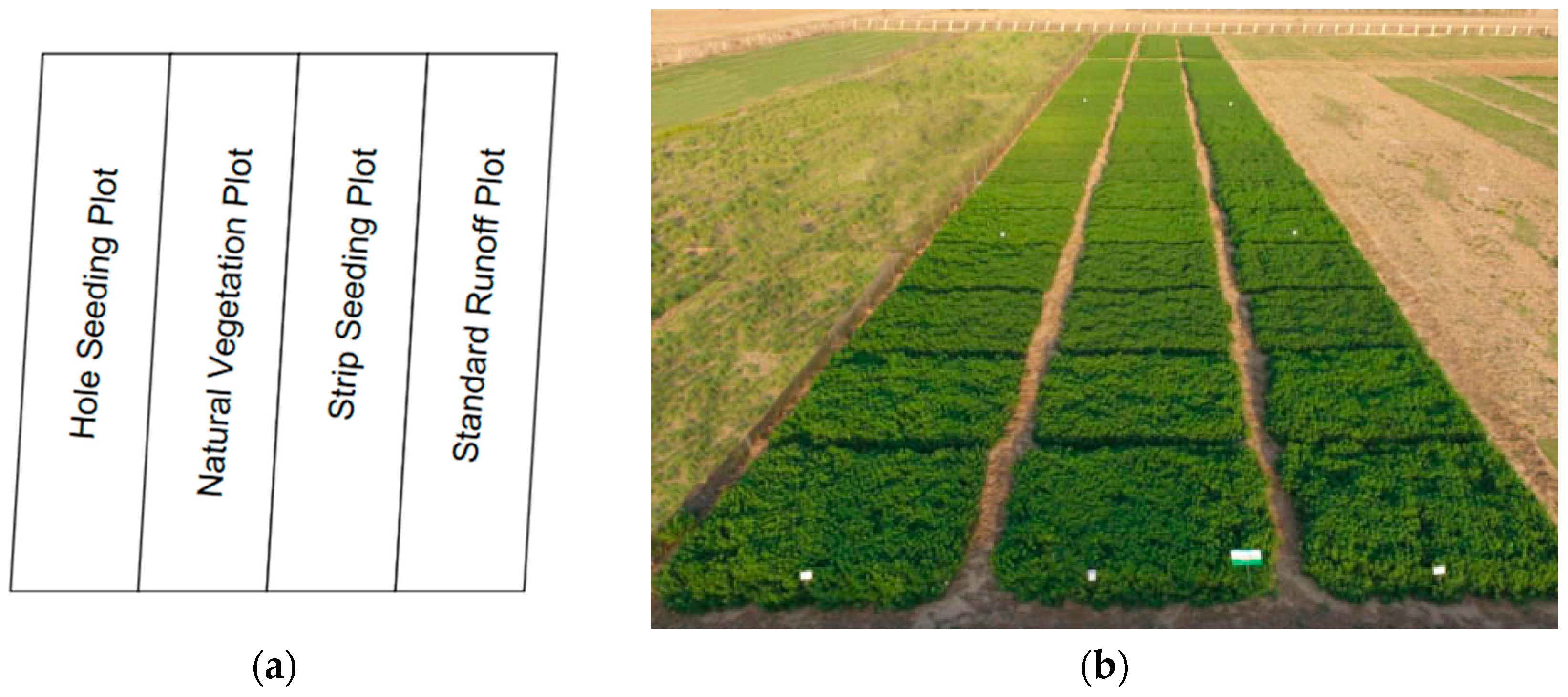 Applsci 13 11075 g002