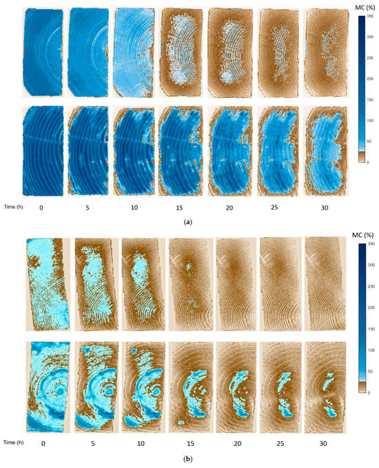 Applsci 13 11083 g005a