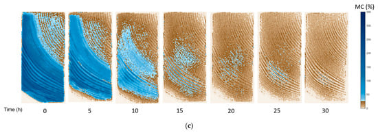 Applsci 13 11083 g005b