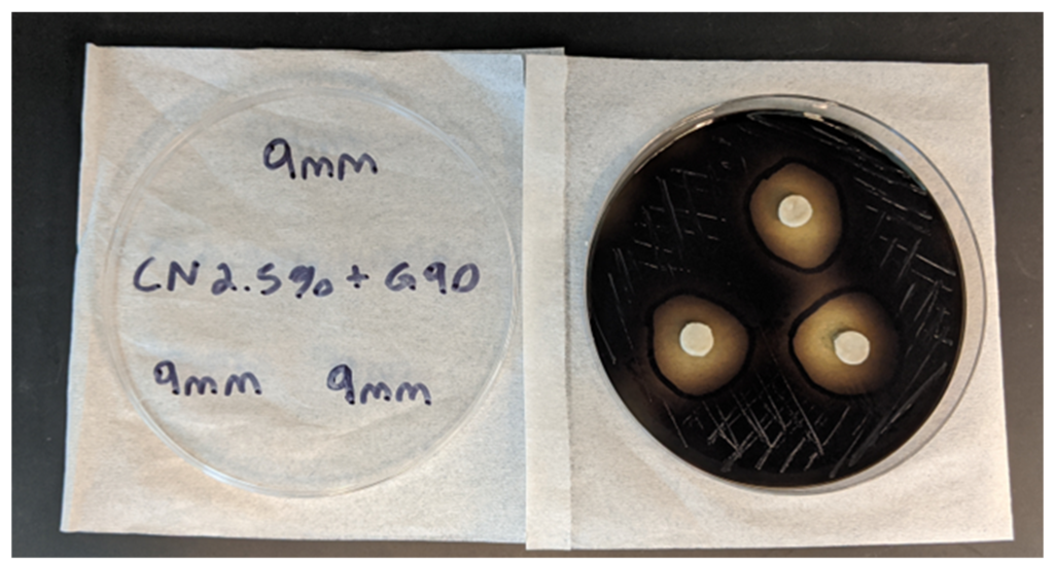 Applsci 13 11089 g001