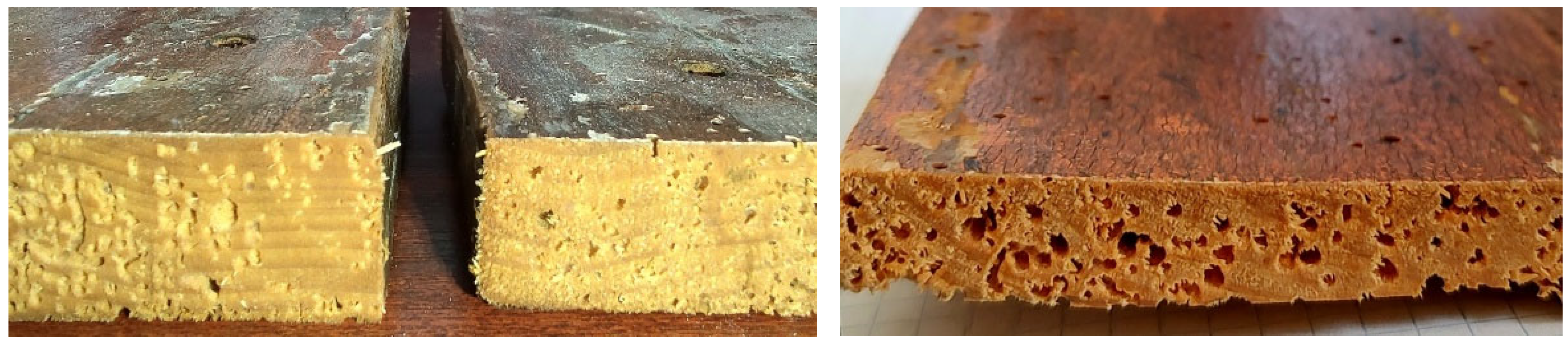 Applsci 13 11148 g002 Applsci 13 11148 g002