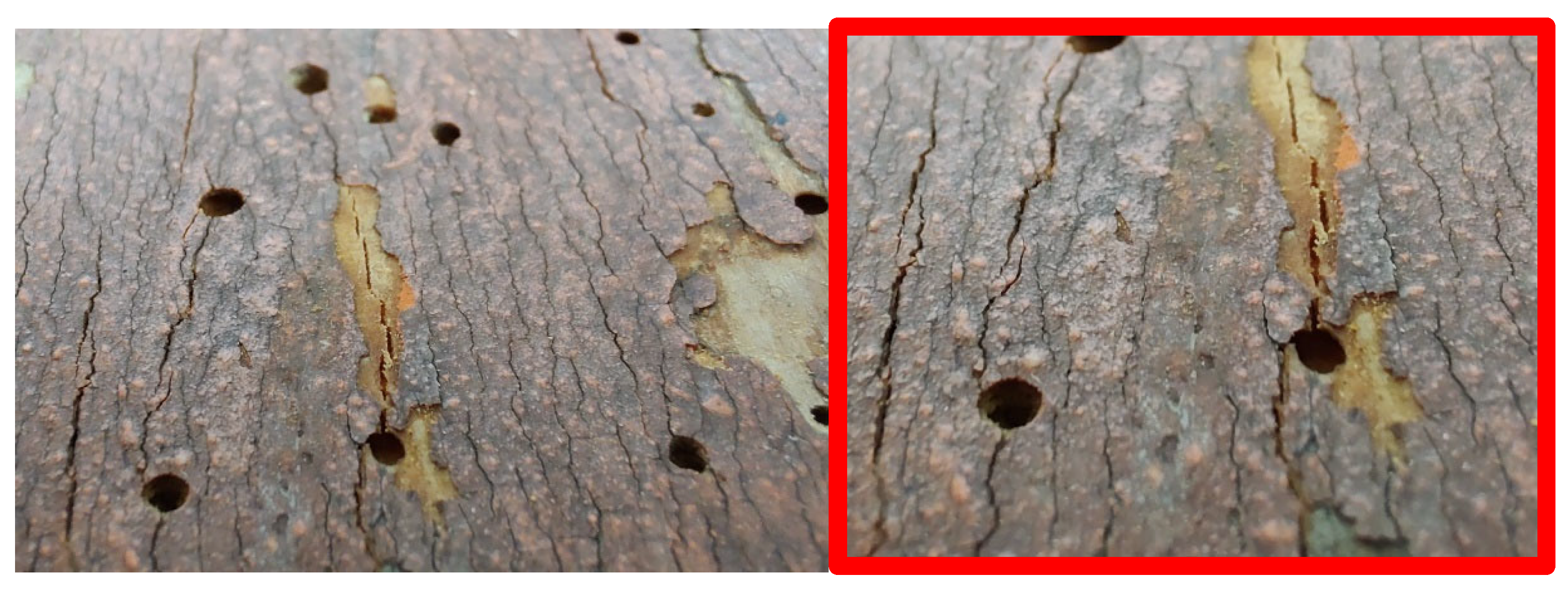 Applsci 13 11148 g024 Applsci 13 11148 g024