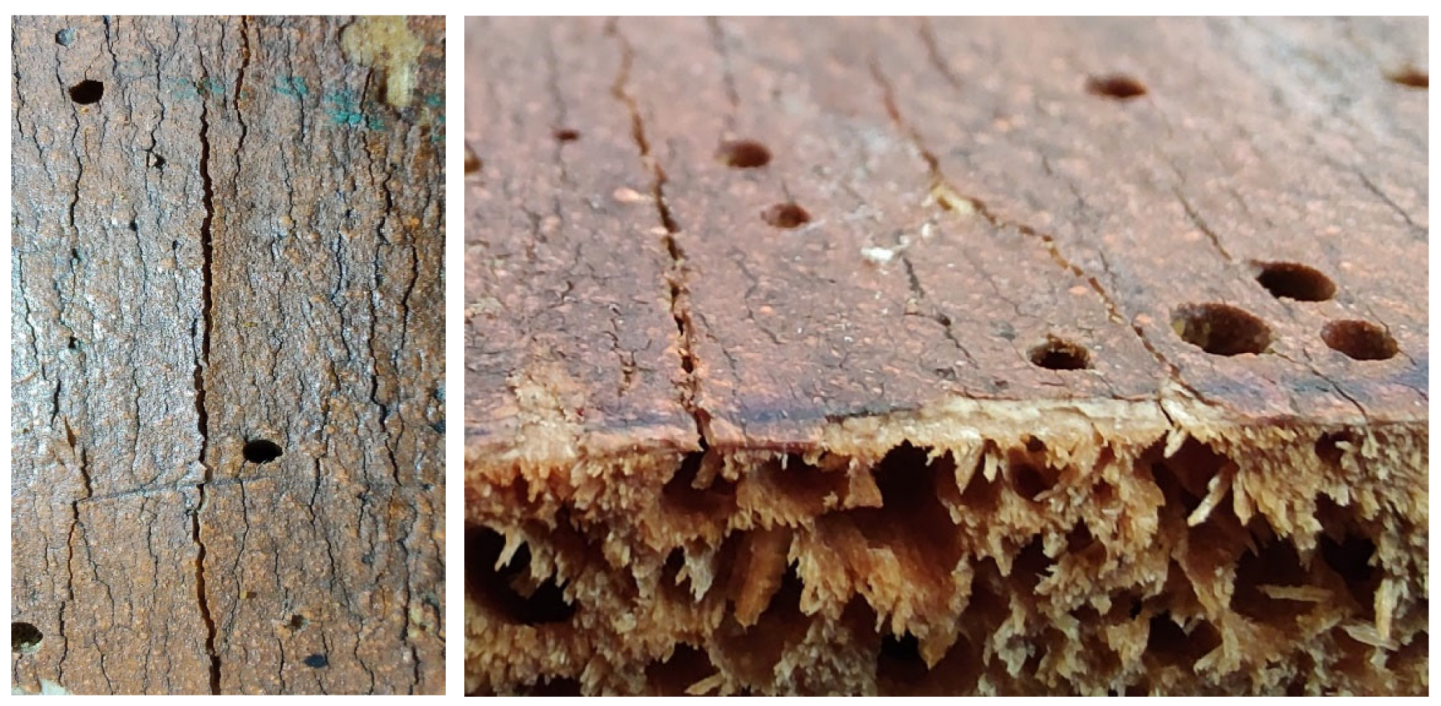 Applsci 13 11148 g025 Applsci 13 11148 g025