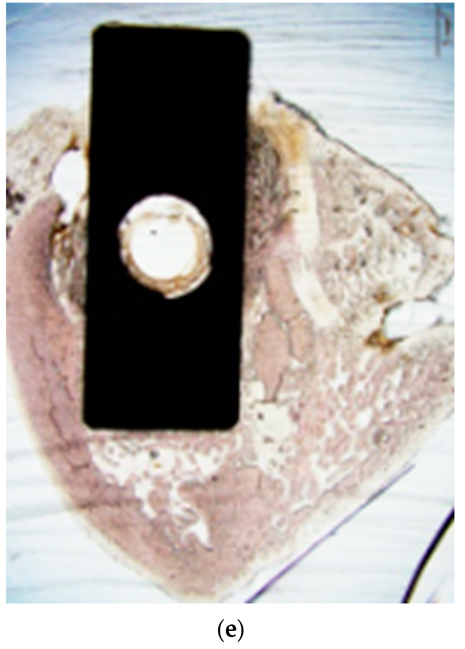 Applsci 13 11177 g006b