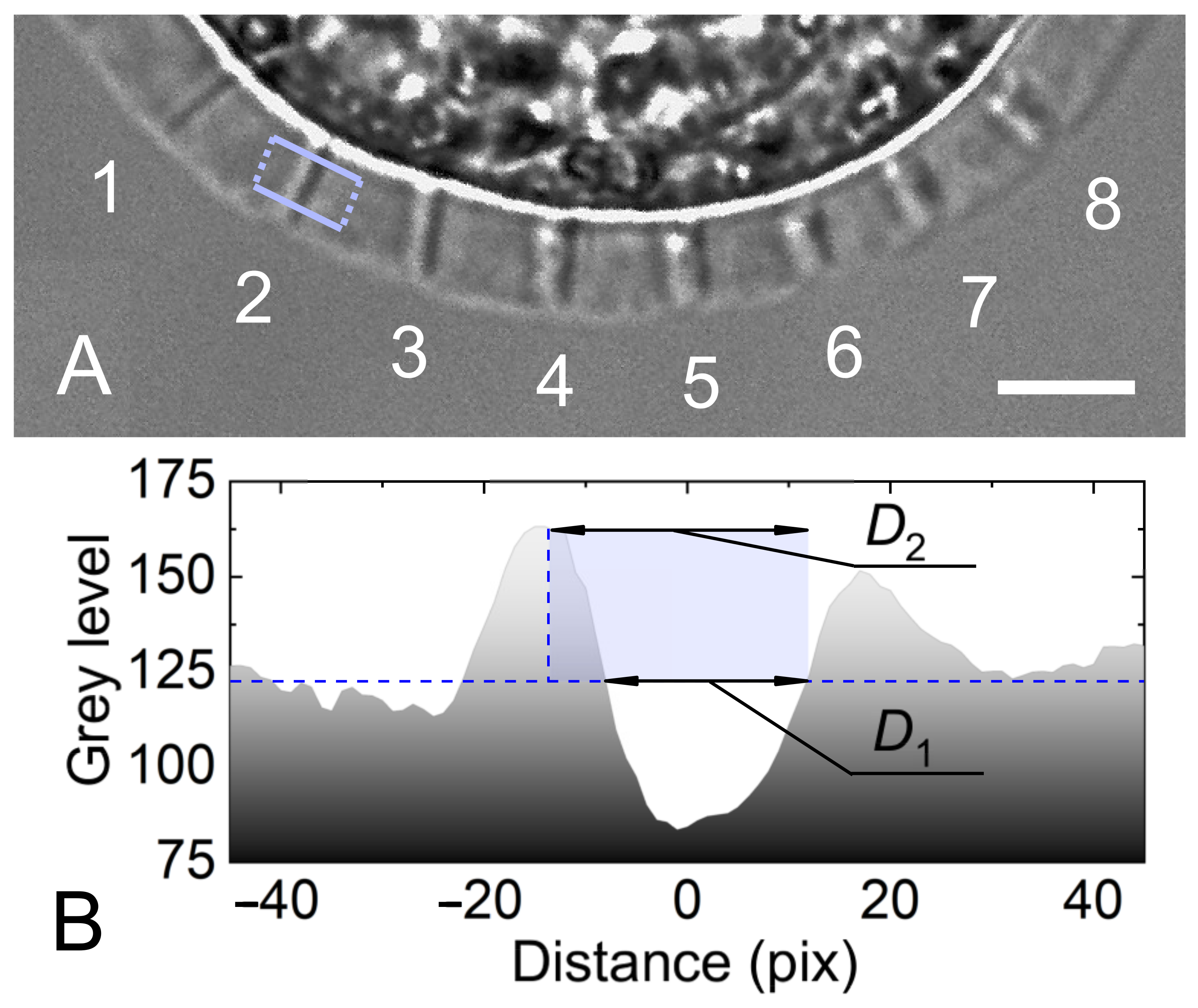 Applsci 13 11204 g002
