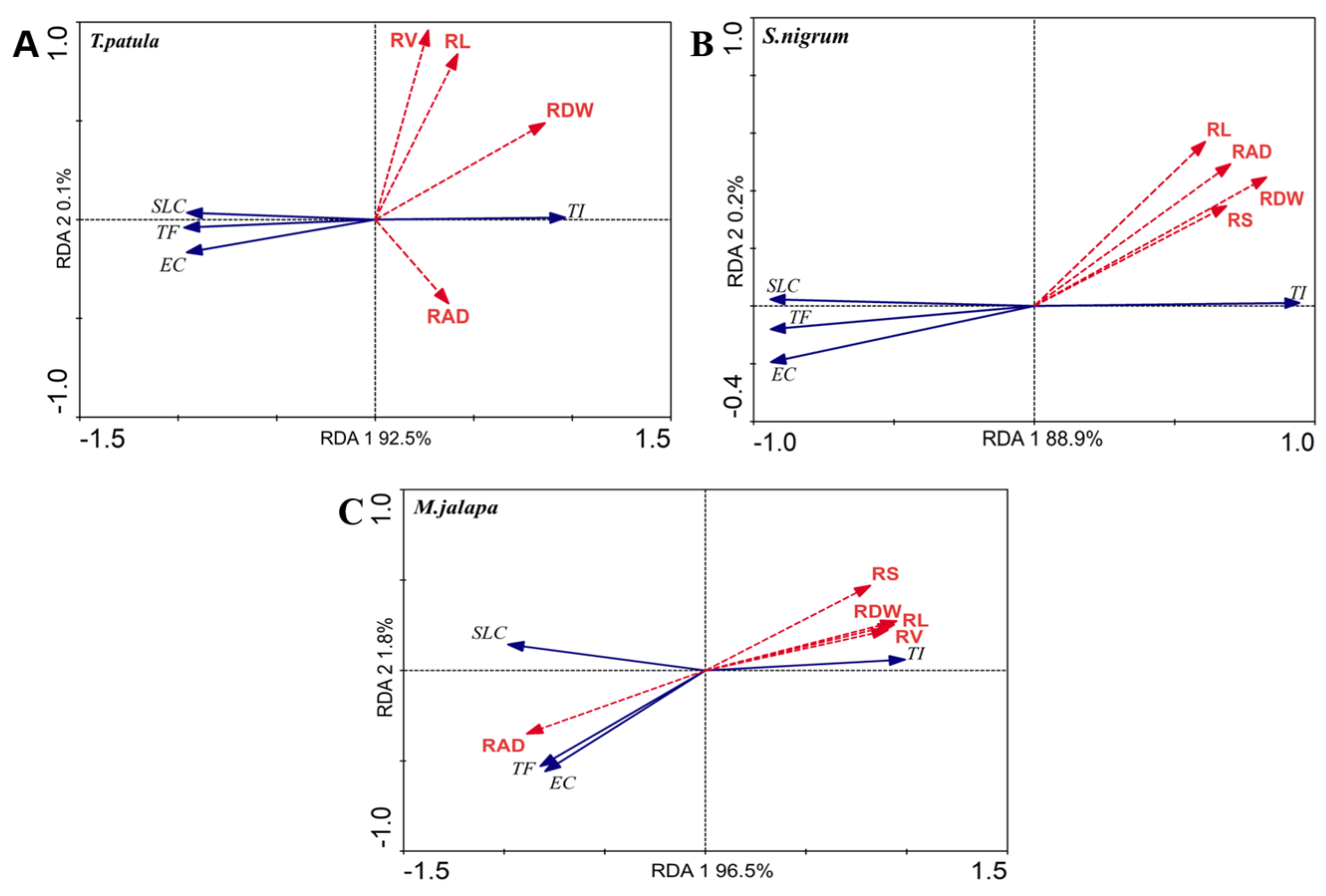 Applsci 13 11208 g004