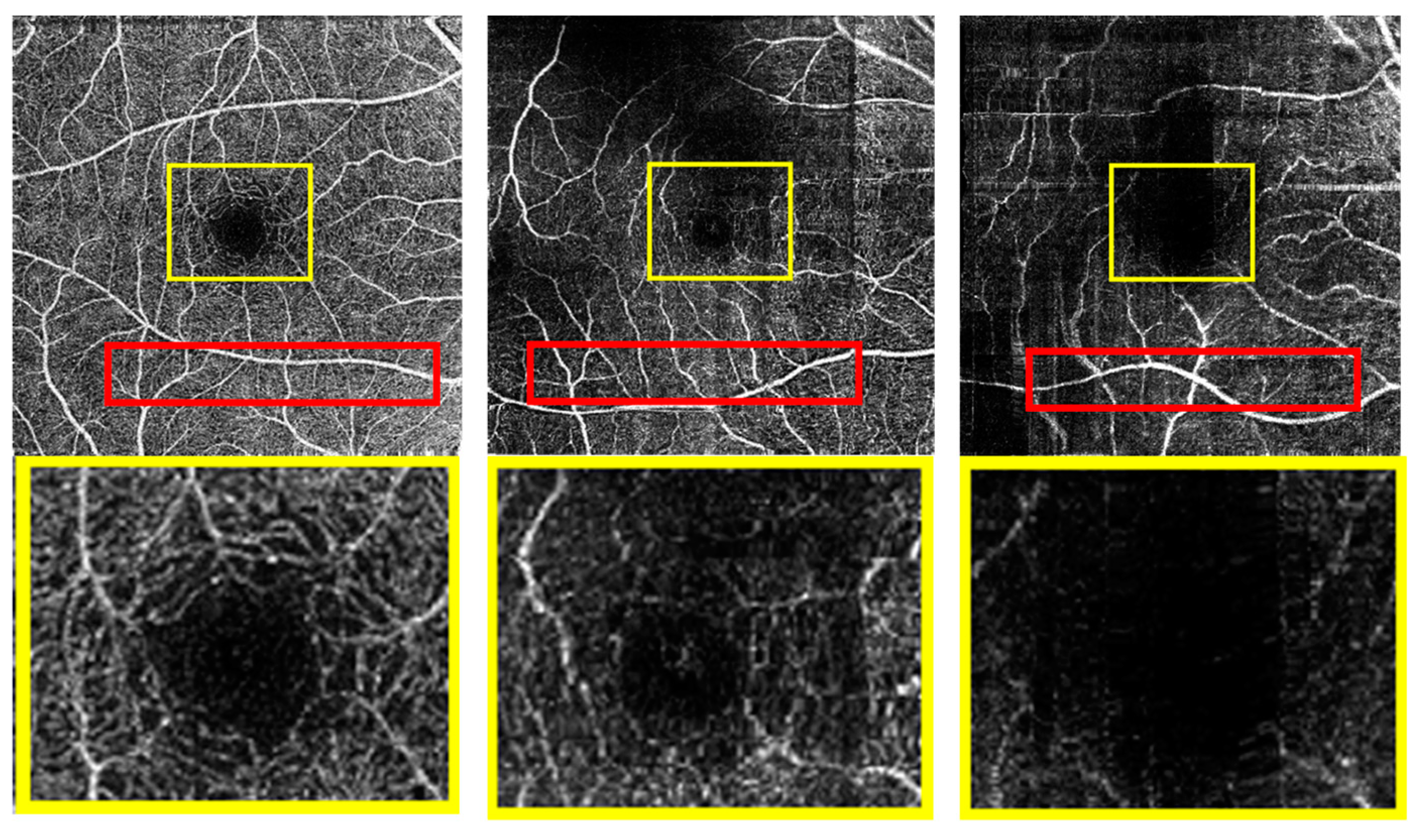 Applsci 13 11259 g001