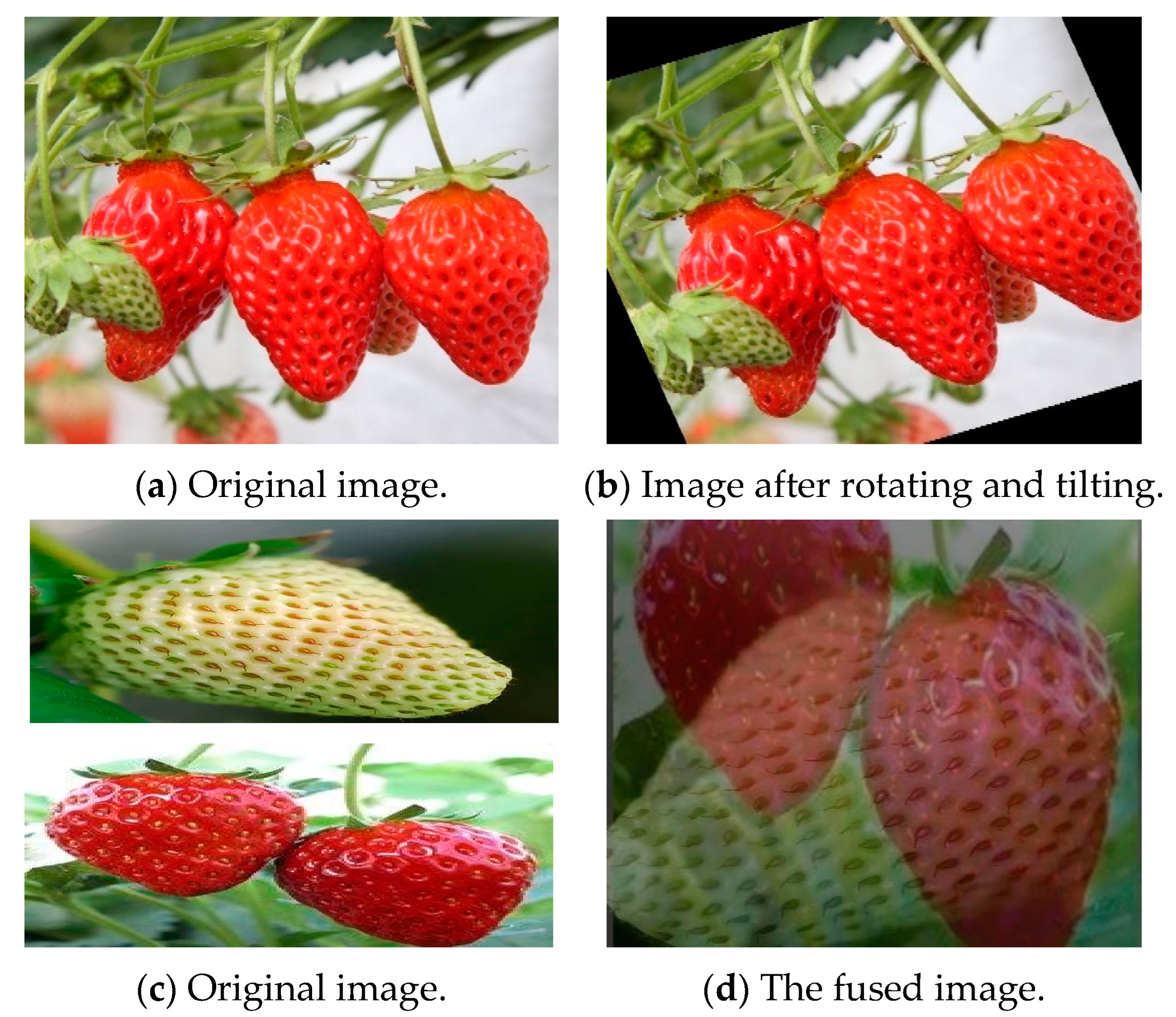 Applsci 13 11298 g004