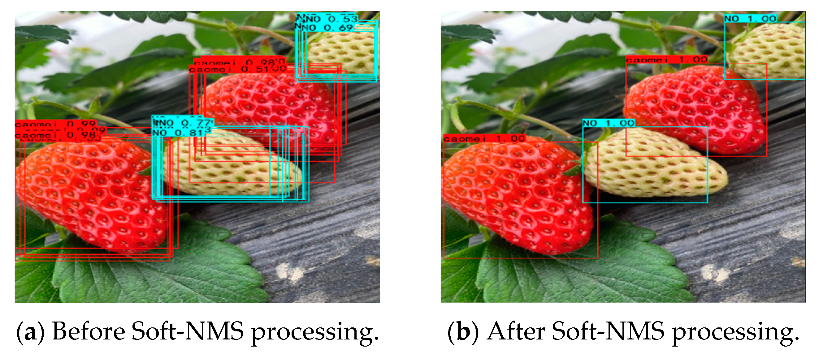 Applsci 13 11298 g013