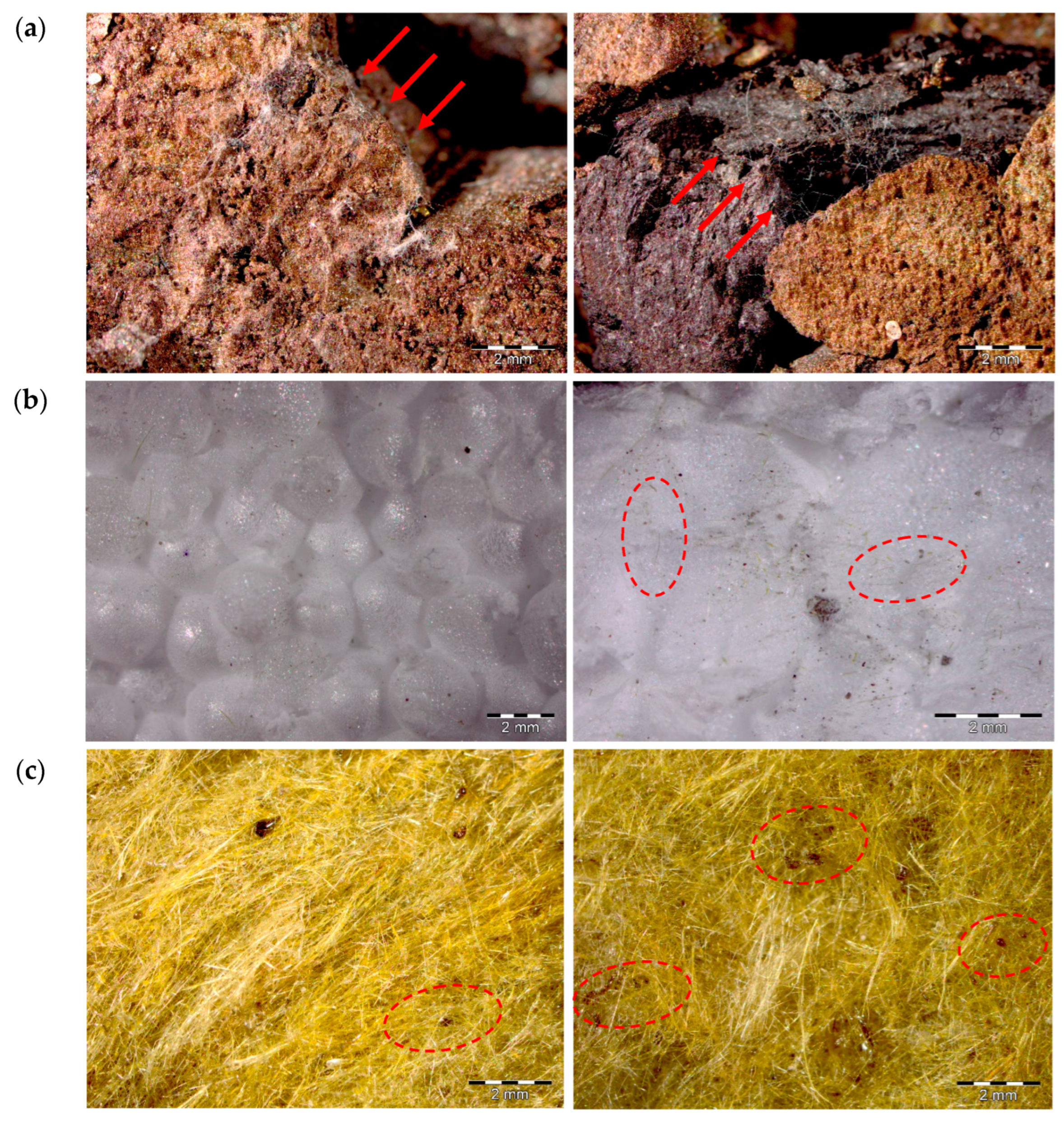 Applsci 13 11311 g003