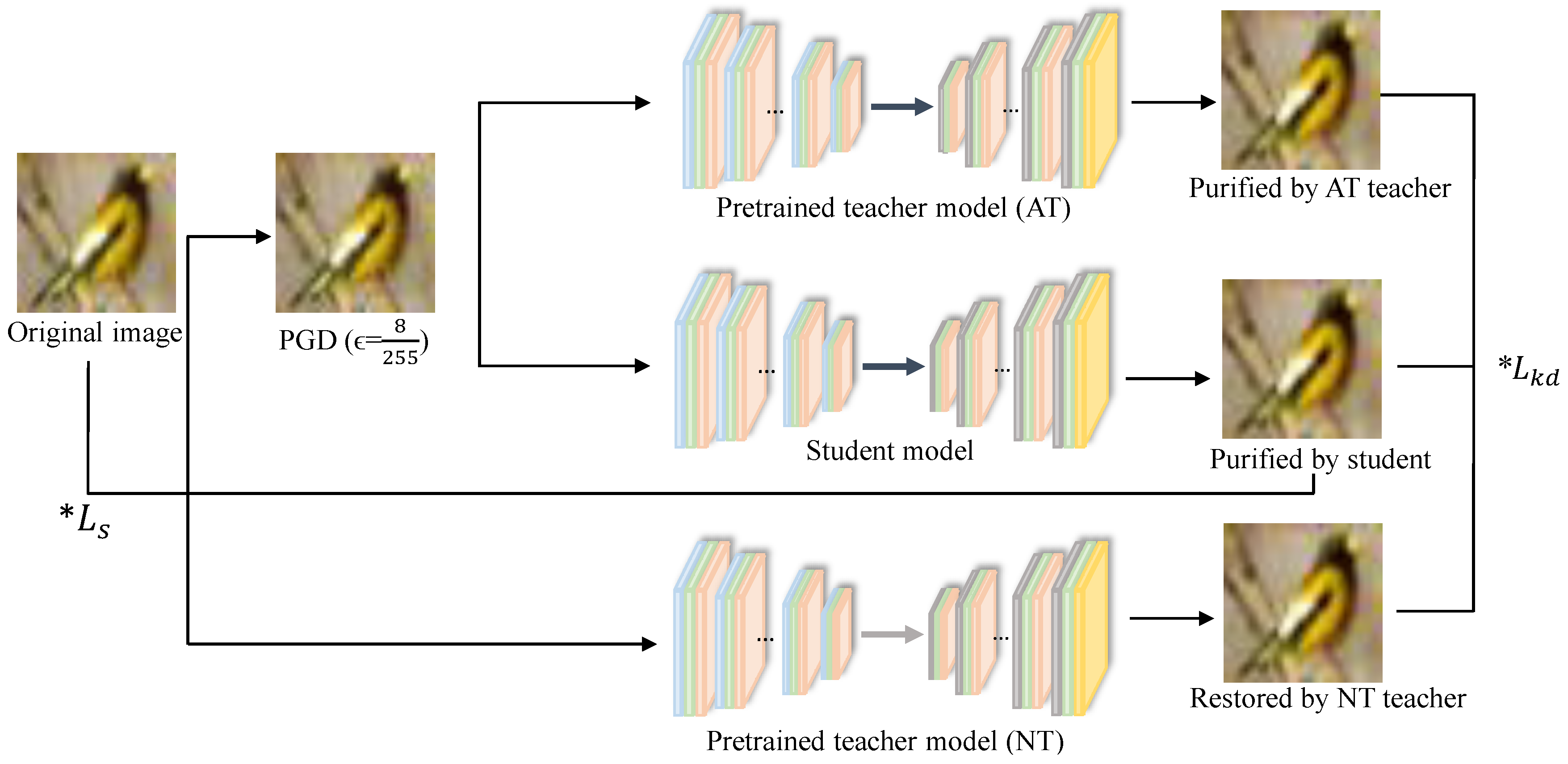 Applsci 13 11313 g003