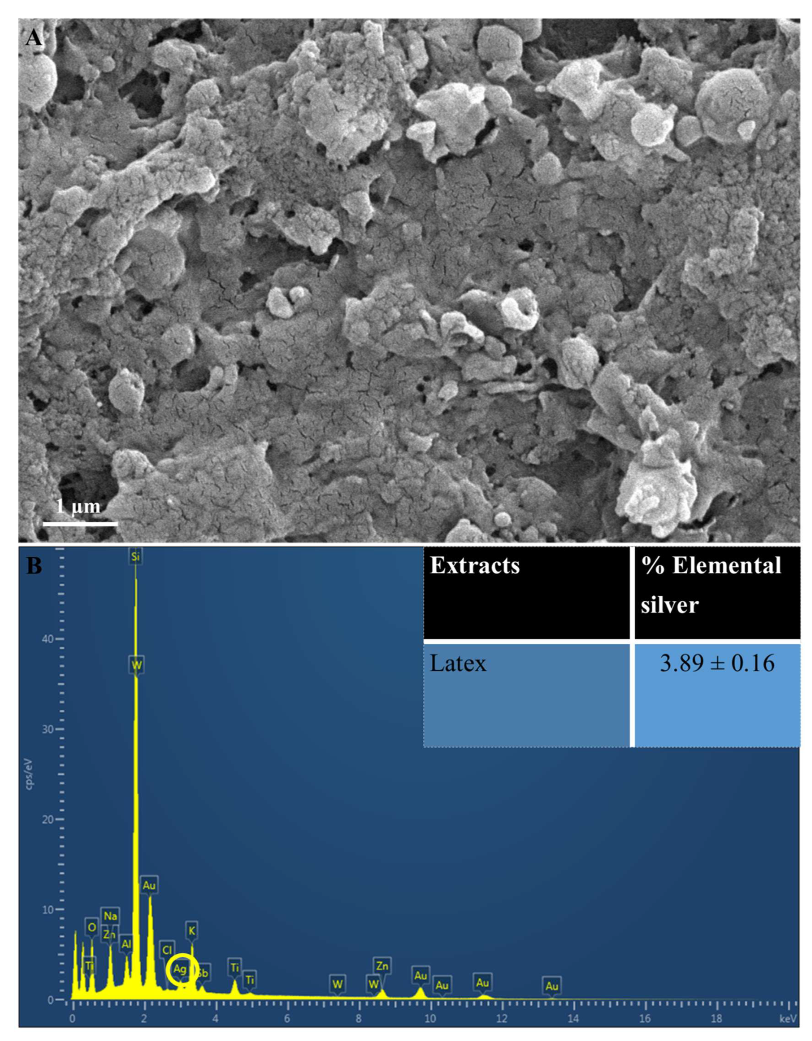 Applsci 13 11363 g003