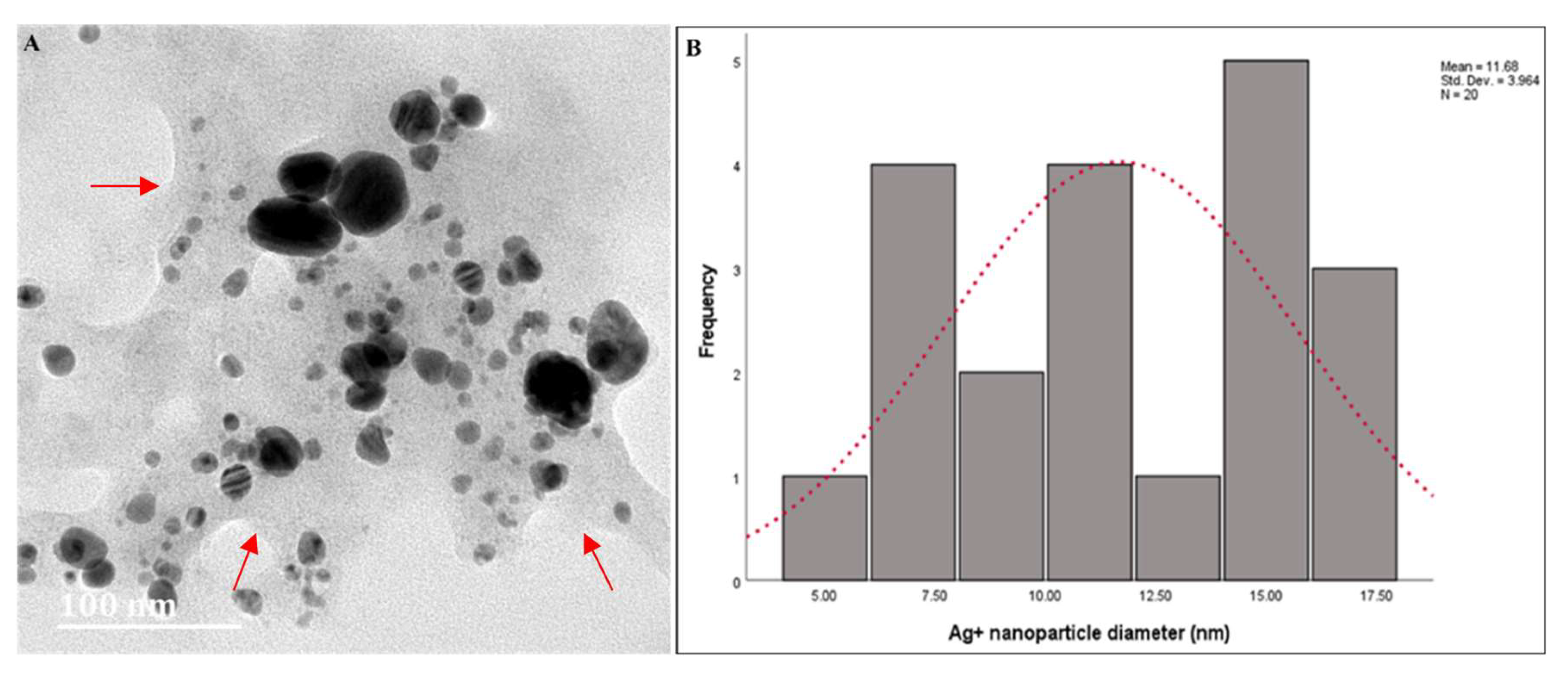 Applsci 13 11363 g004