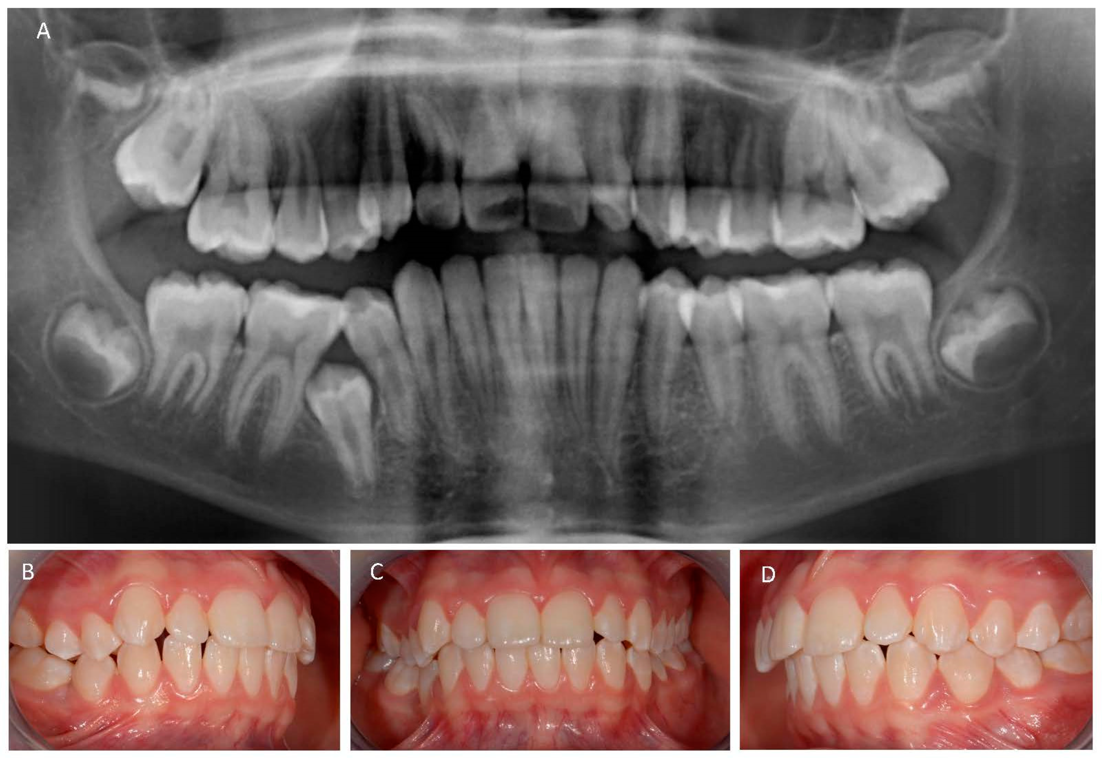 Applsci 13 11383 g001