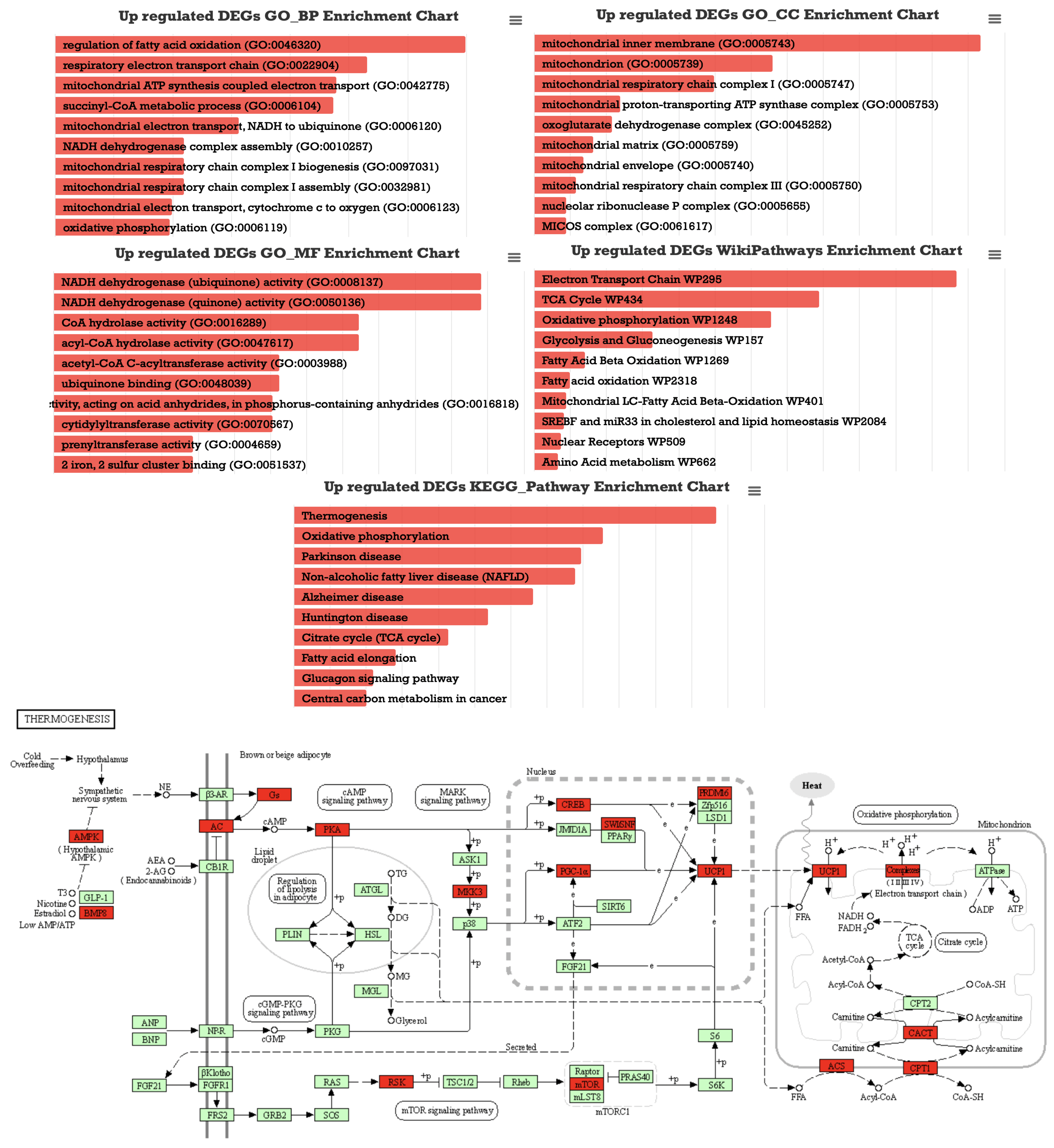 Applsci 13 11399 g003 Applsci 13 11399 g003
