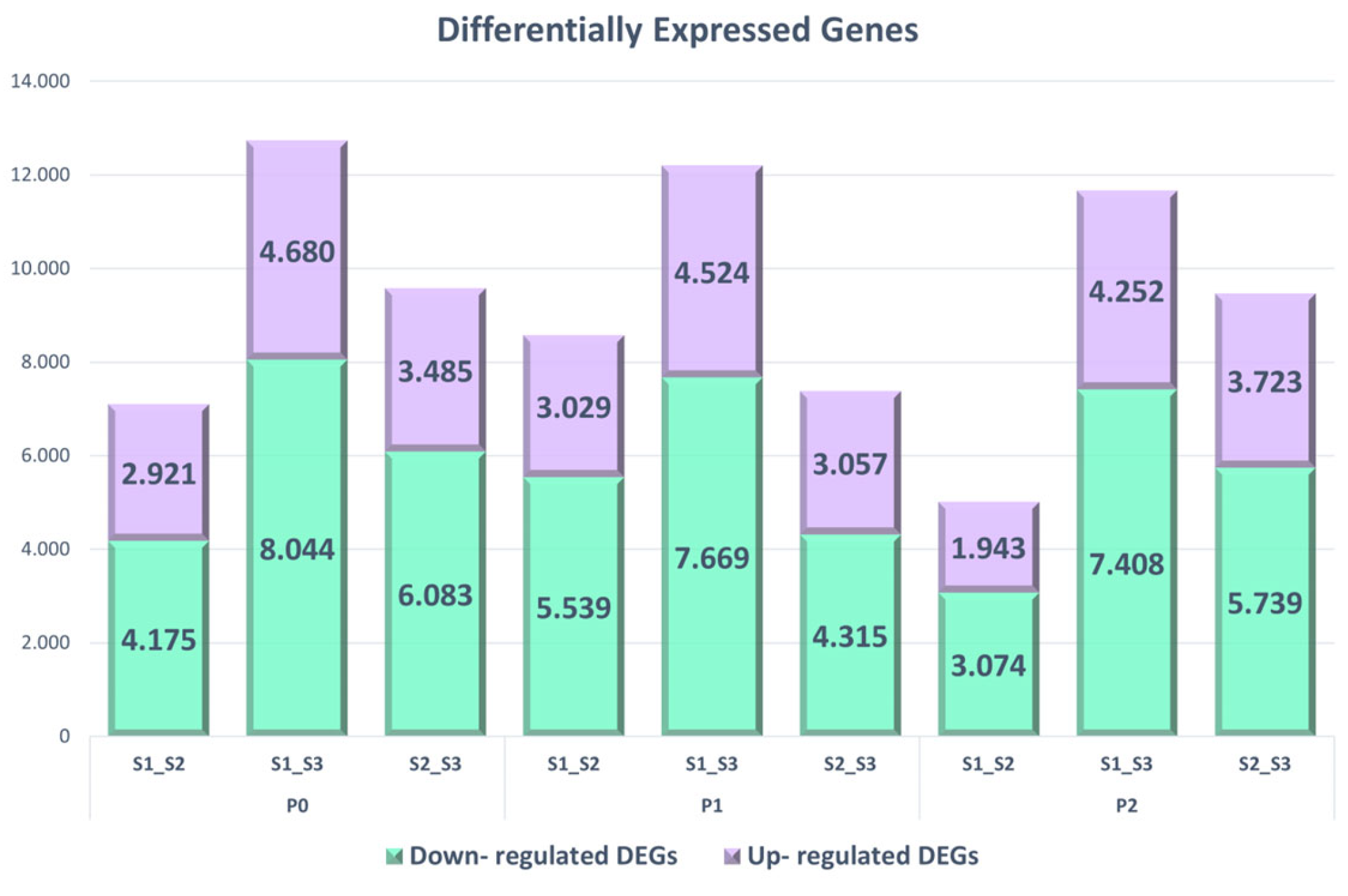 Applsci 13 11403 g003