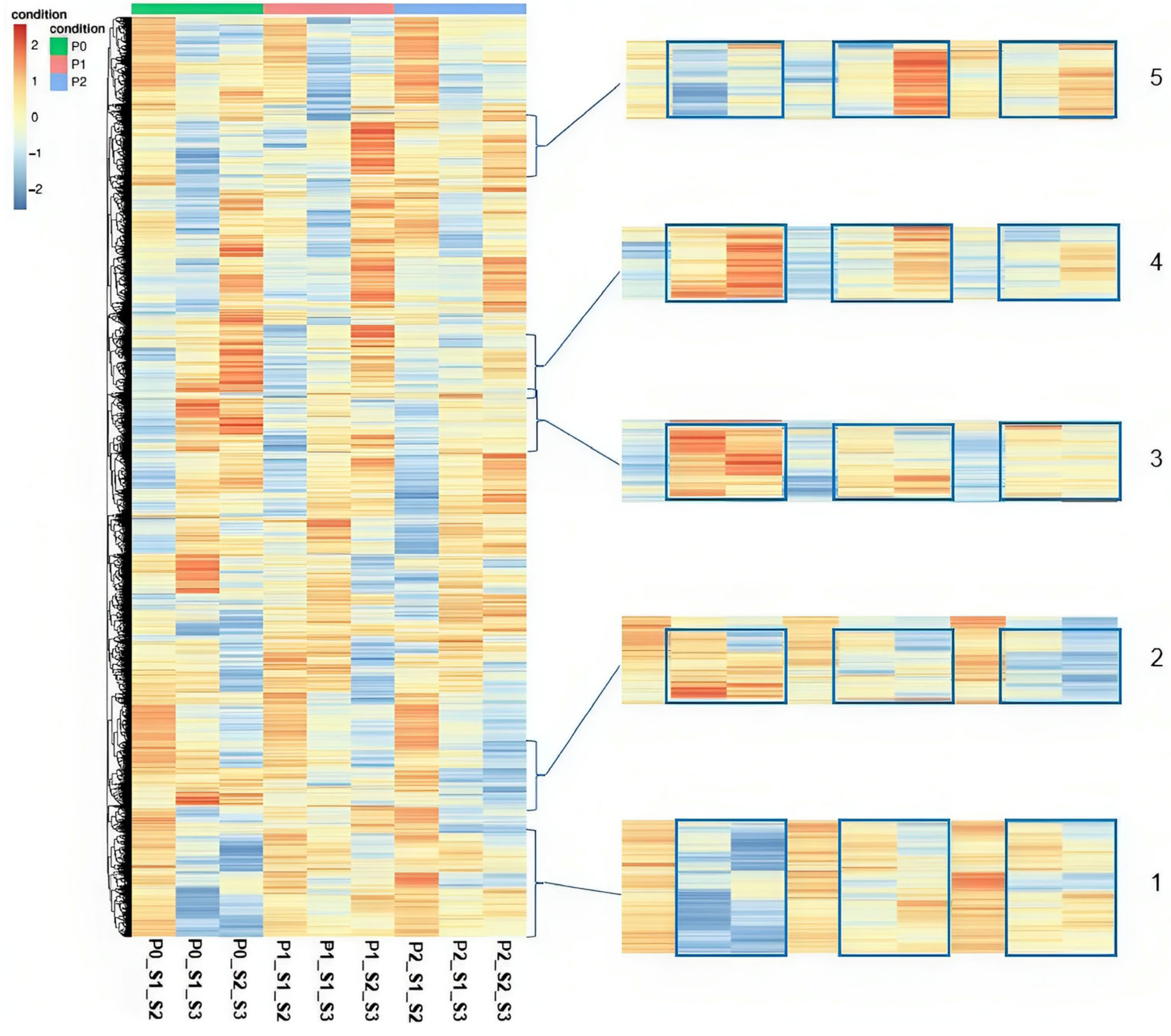 Applsci 13 11403 g005