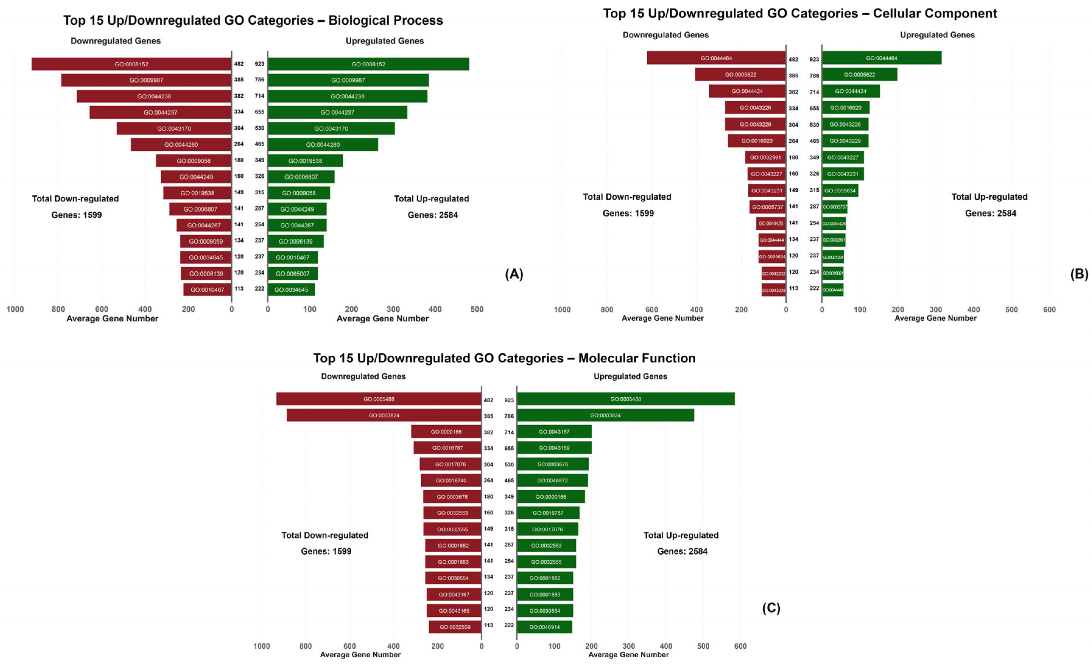 Applsci 13 11403 g006