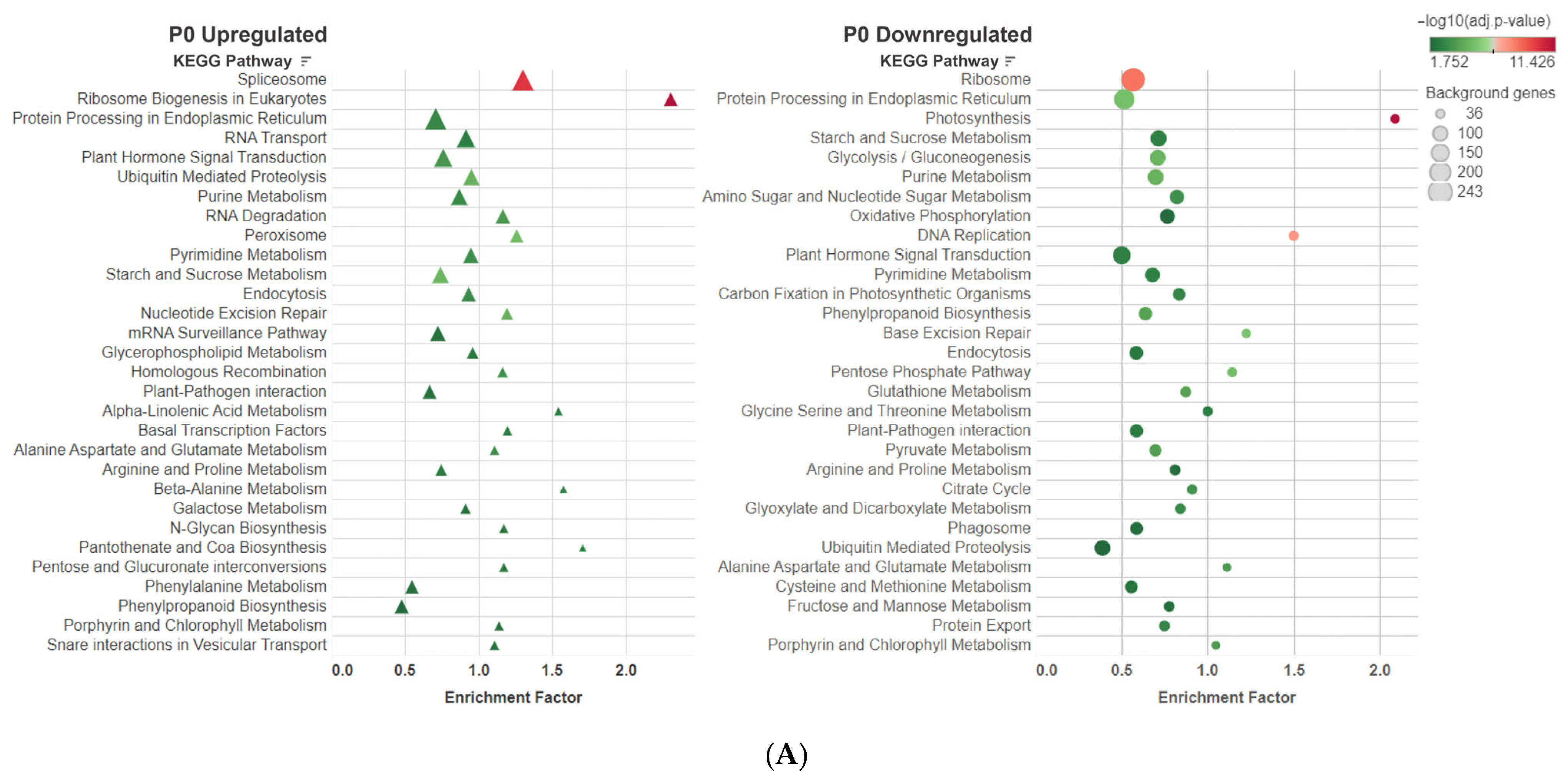 Applsci 13 11403 g007a