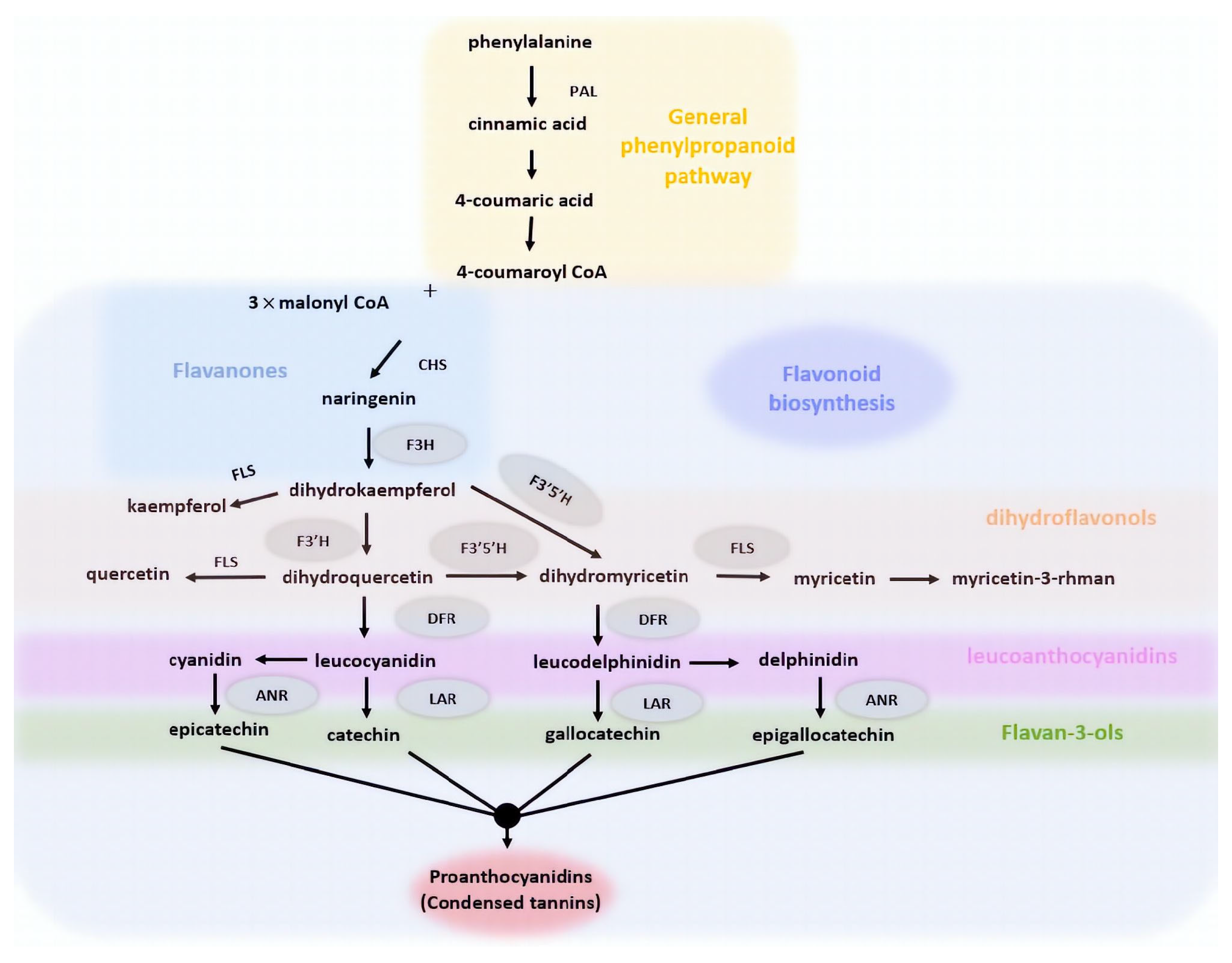 Applsci 13 11403 g008
