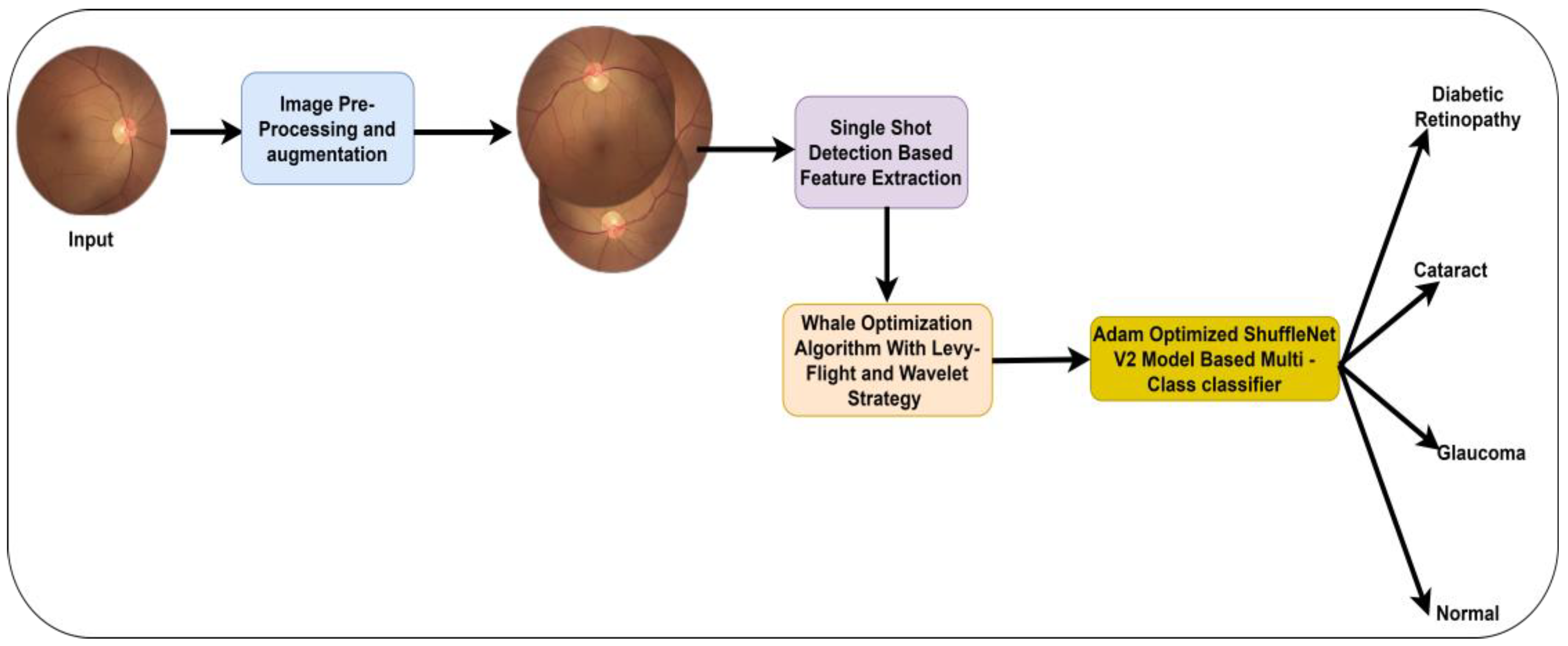 Applsci 13 11437 g001