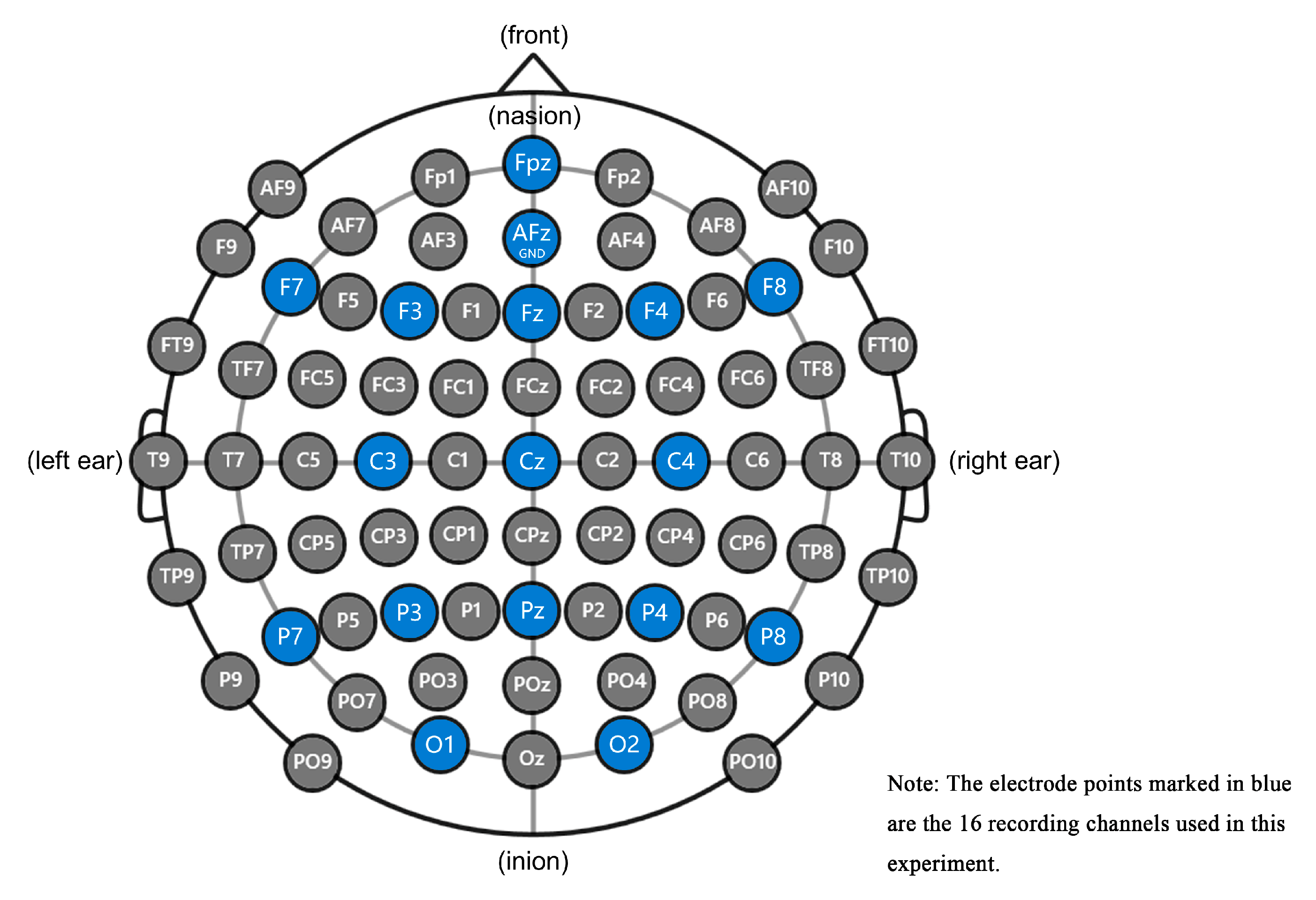 Applsci 13 11438 g019