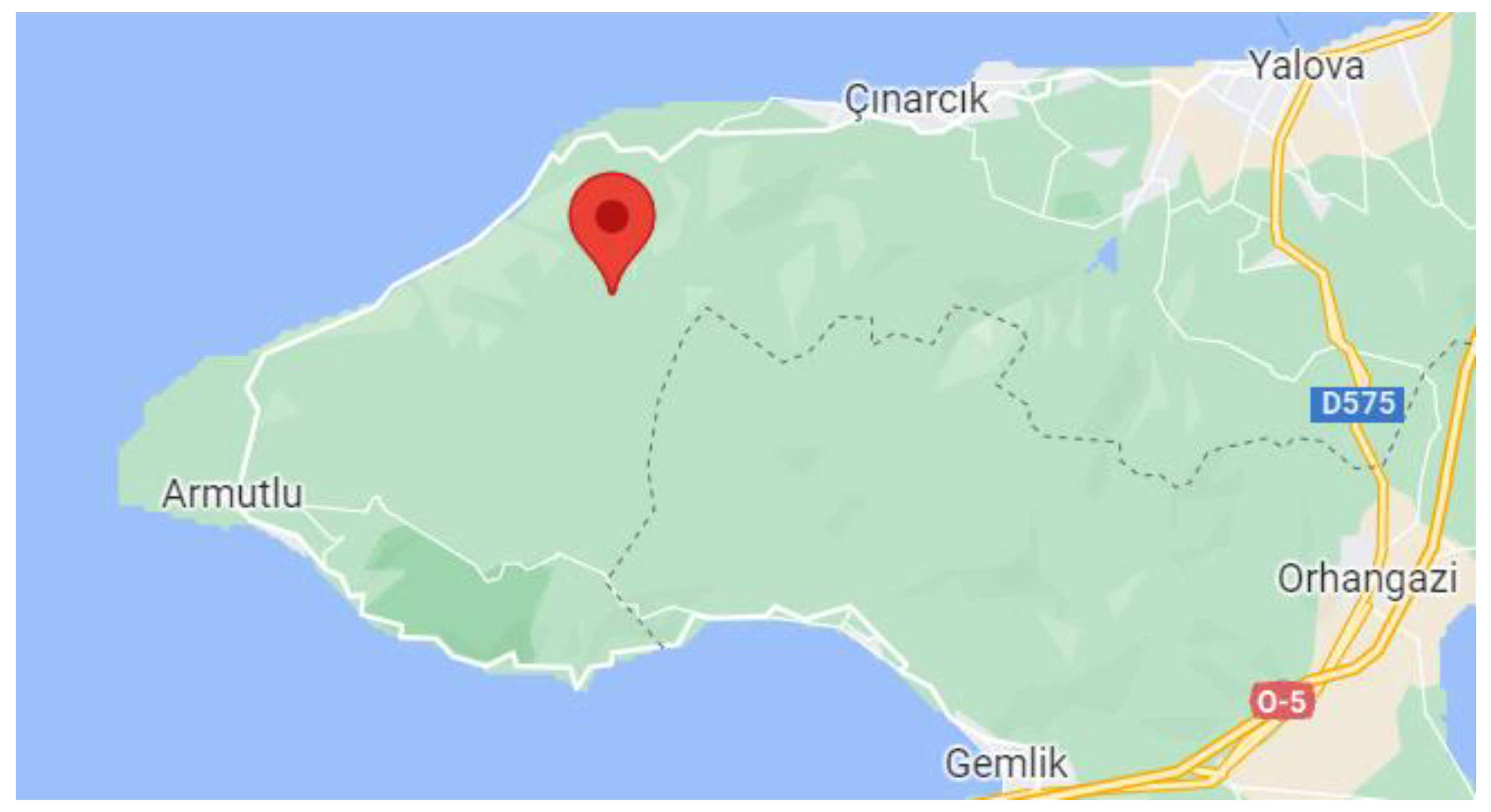 Applsci 13 11455 g001