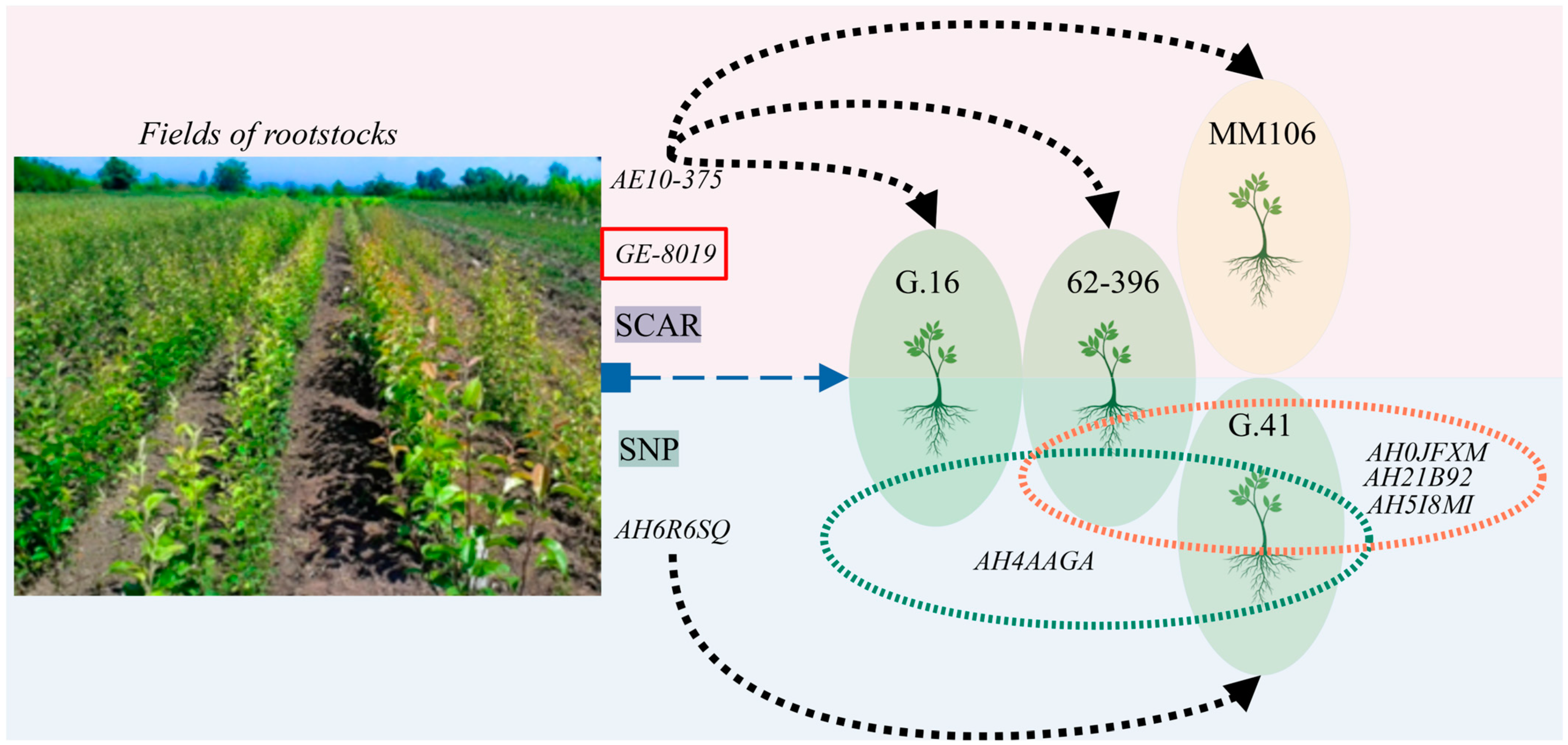 Applsci 13 11530 g004 Applsci 13 11530 g004