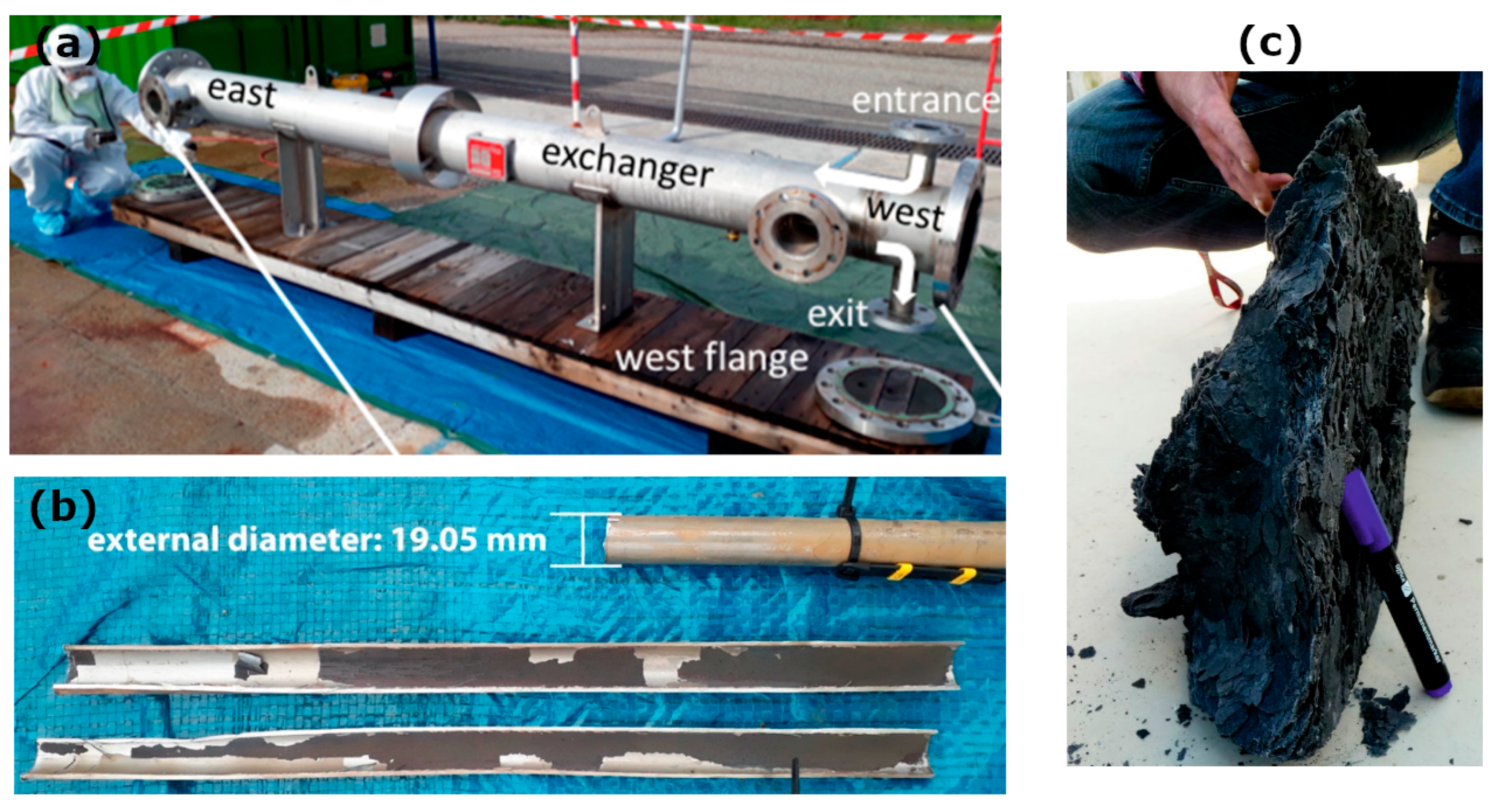 Applsci 13 11549 g002