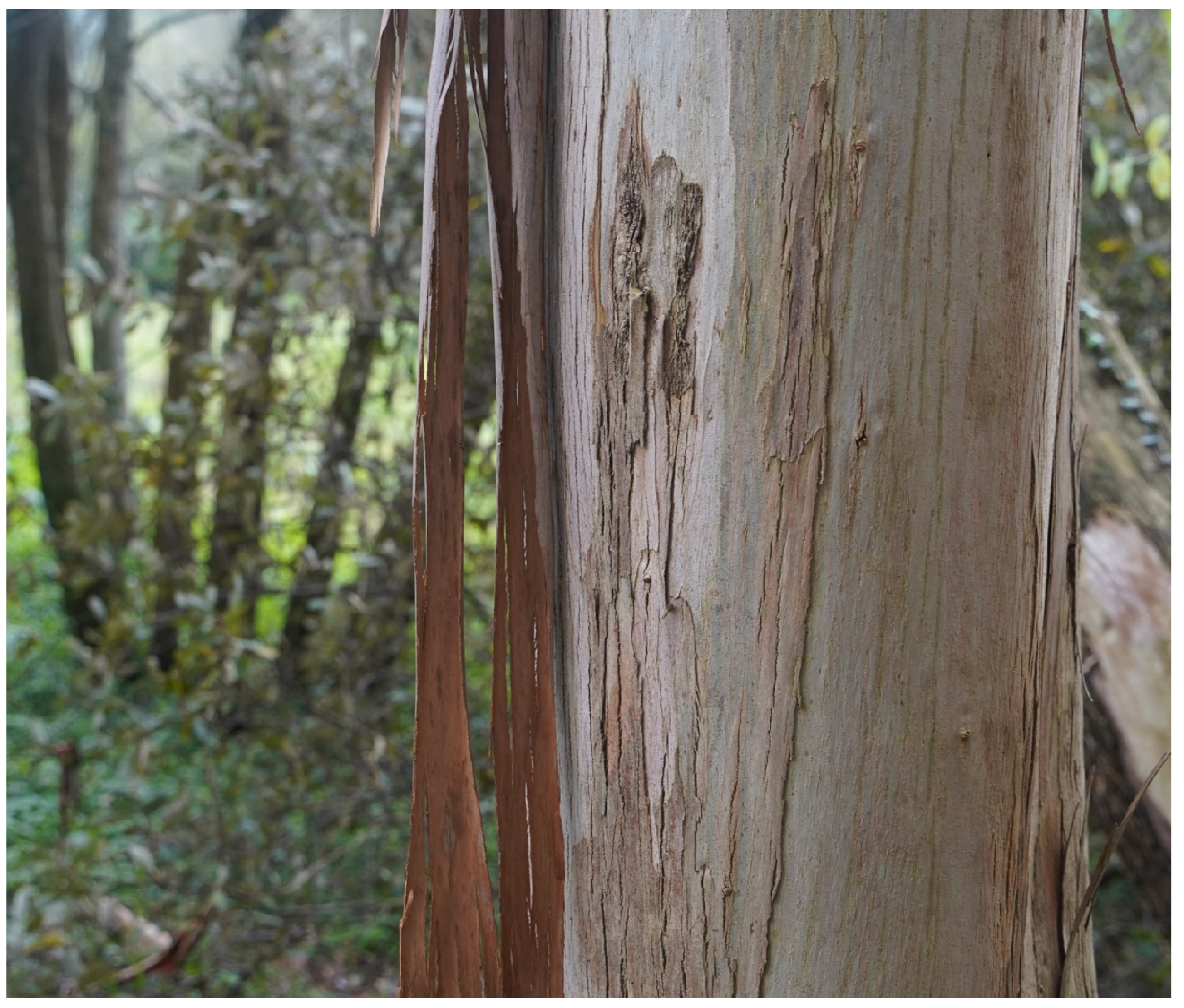 Applsci 13 11568 g004