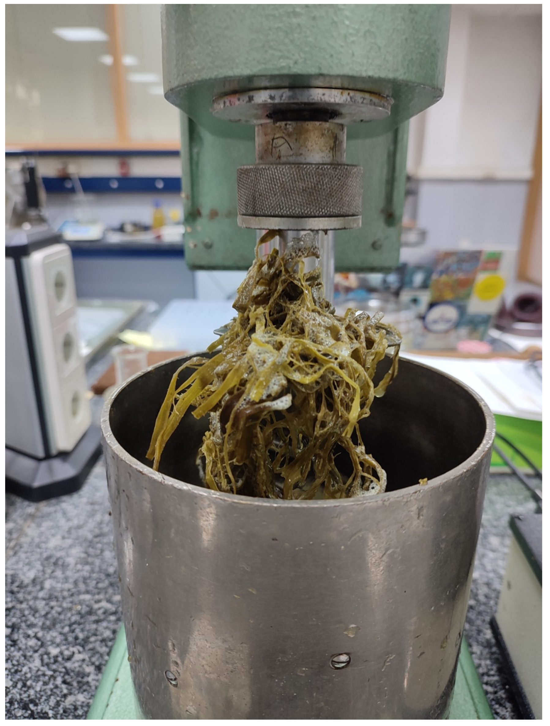 Applsci 13 11568 g006