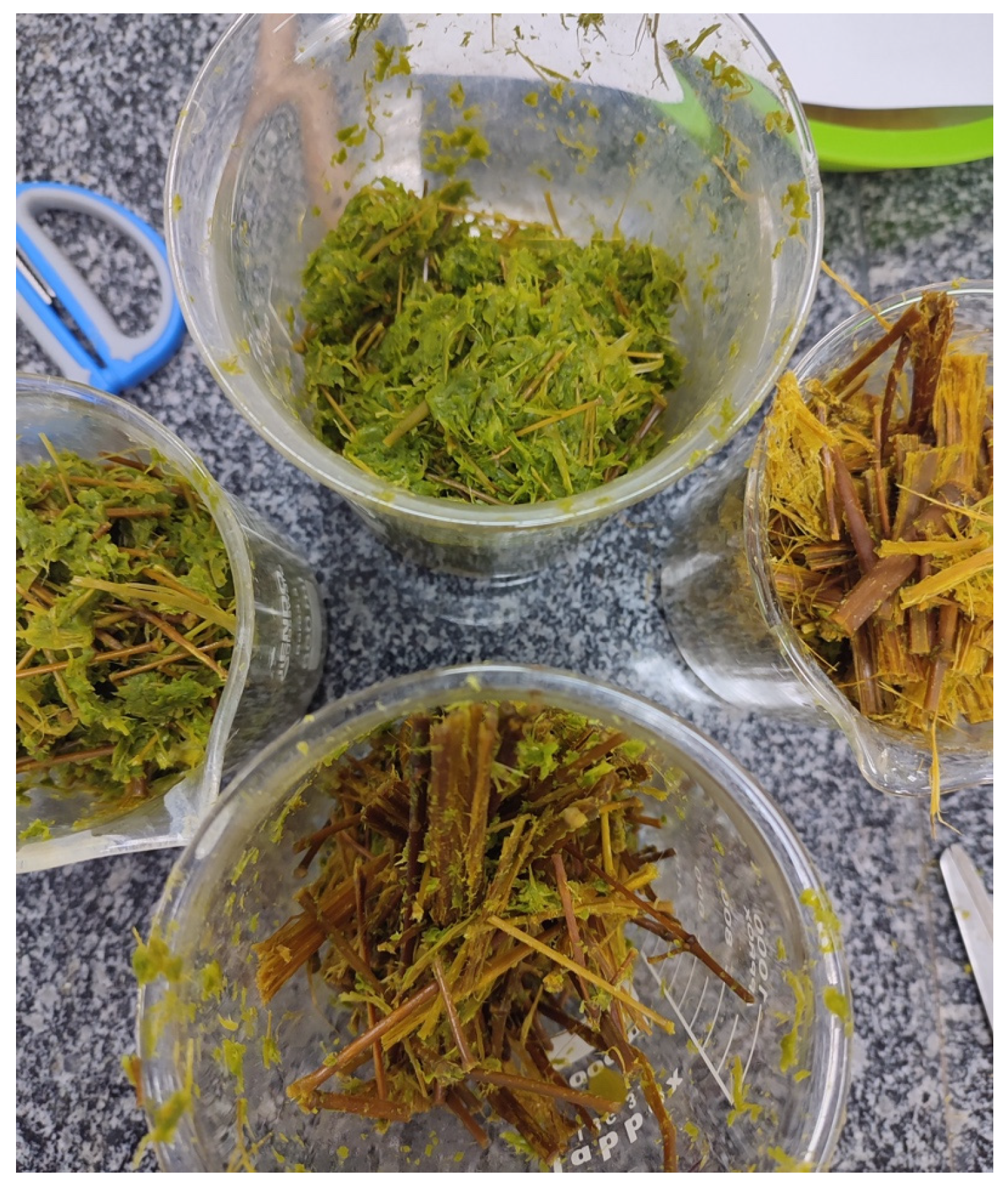 Applsci 13 11568 g008