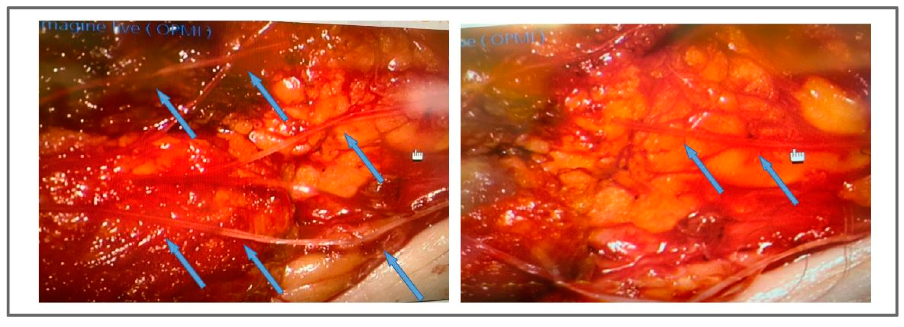 Applsci 13 11571 g003