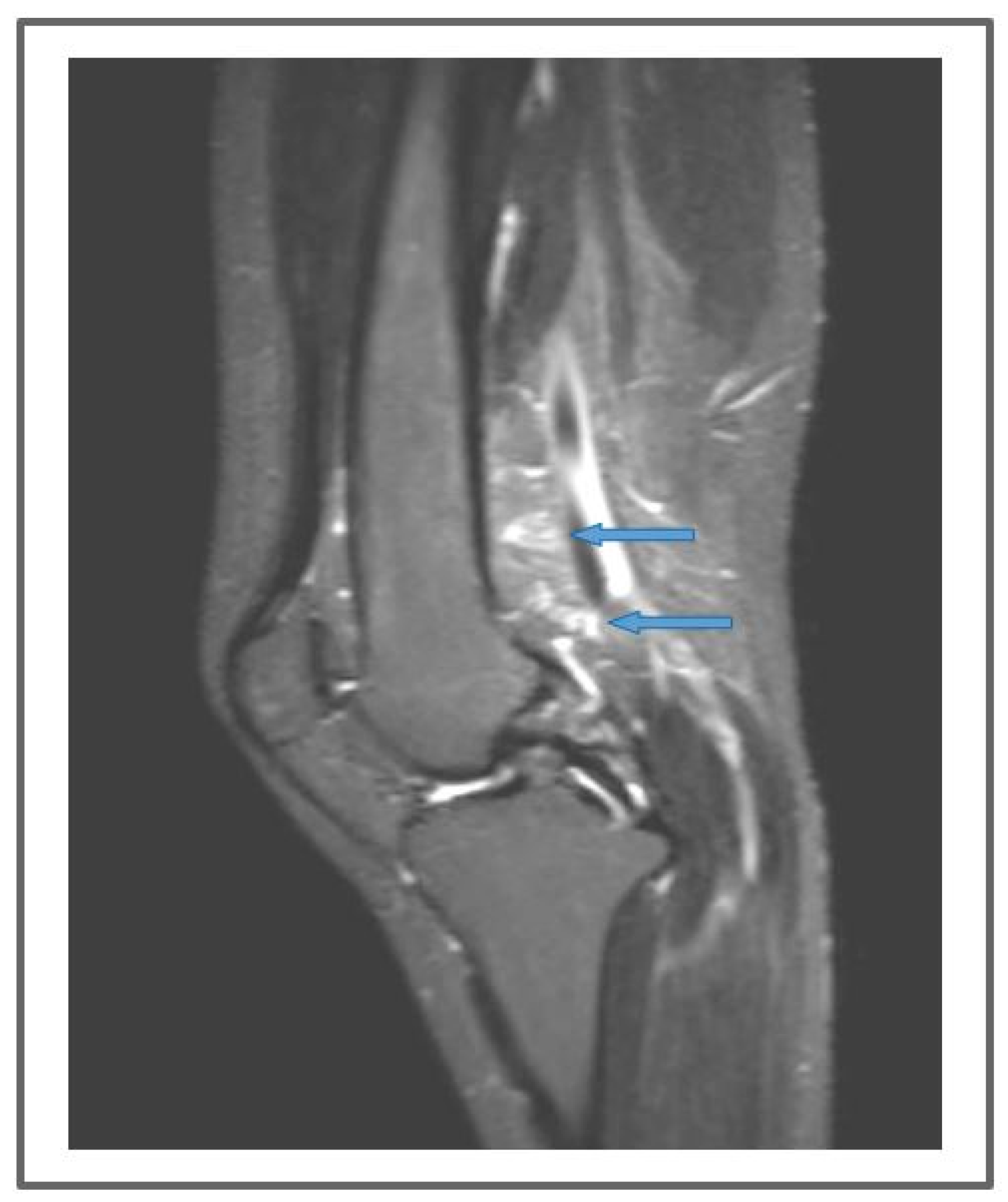 Applsci 13 11571 g007