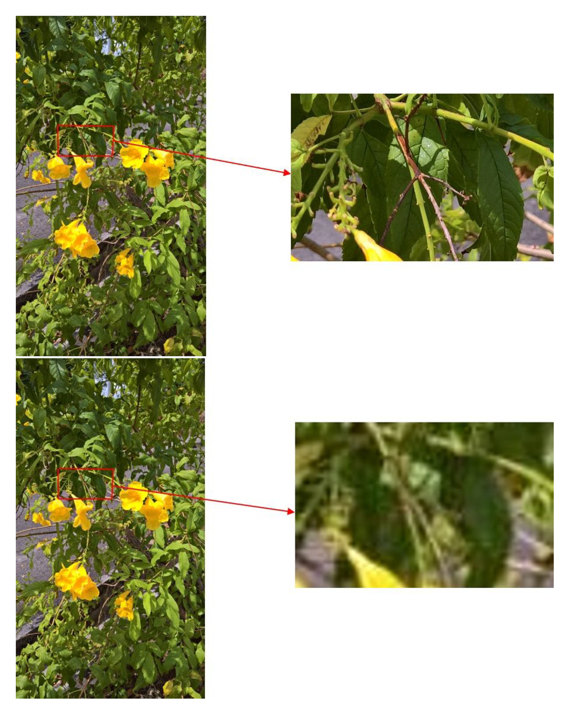 Applsci 13 11600 g001