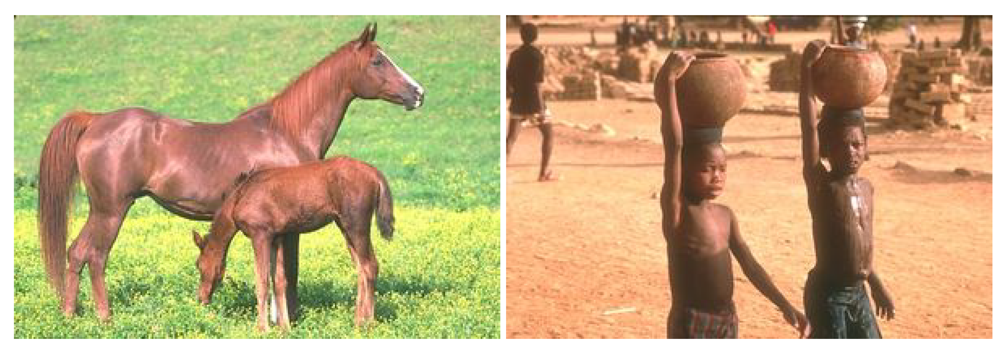 Applsci 13 11600 g006