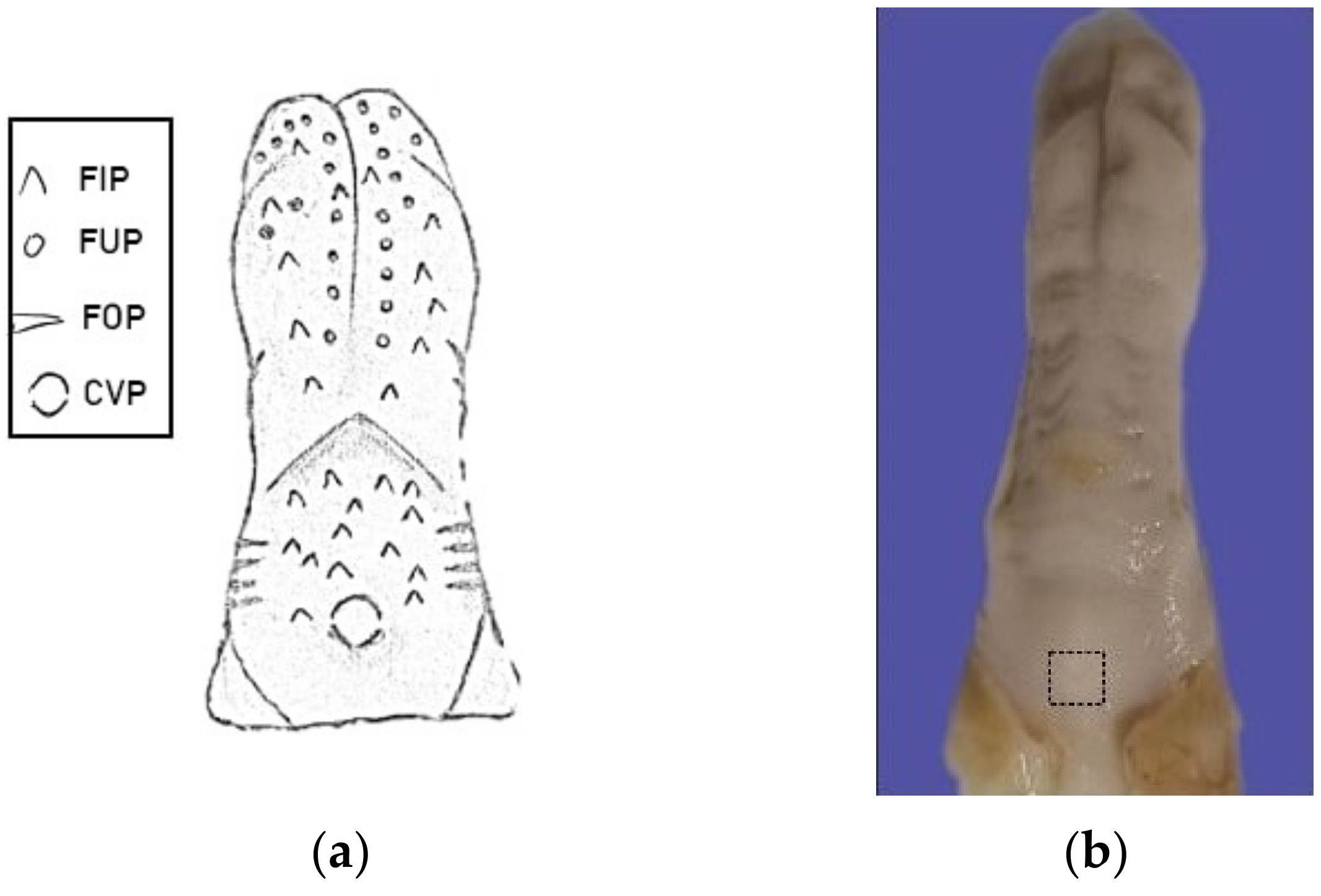 Applsci 13 11617 g001