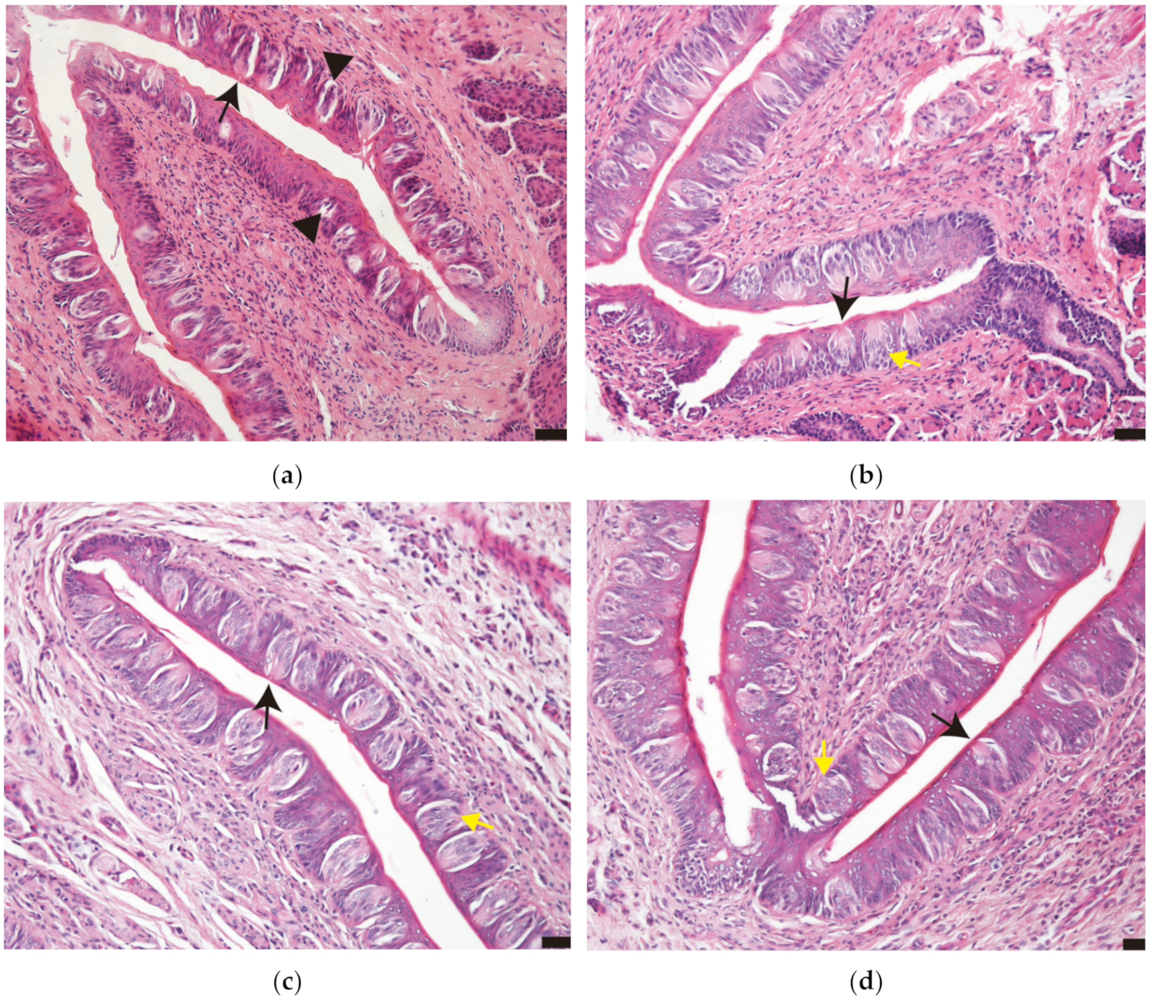 Applsci 13 11617 g002