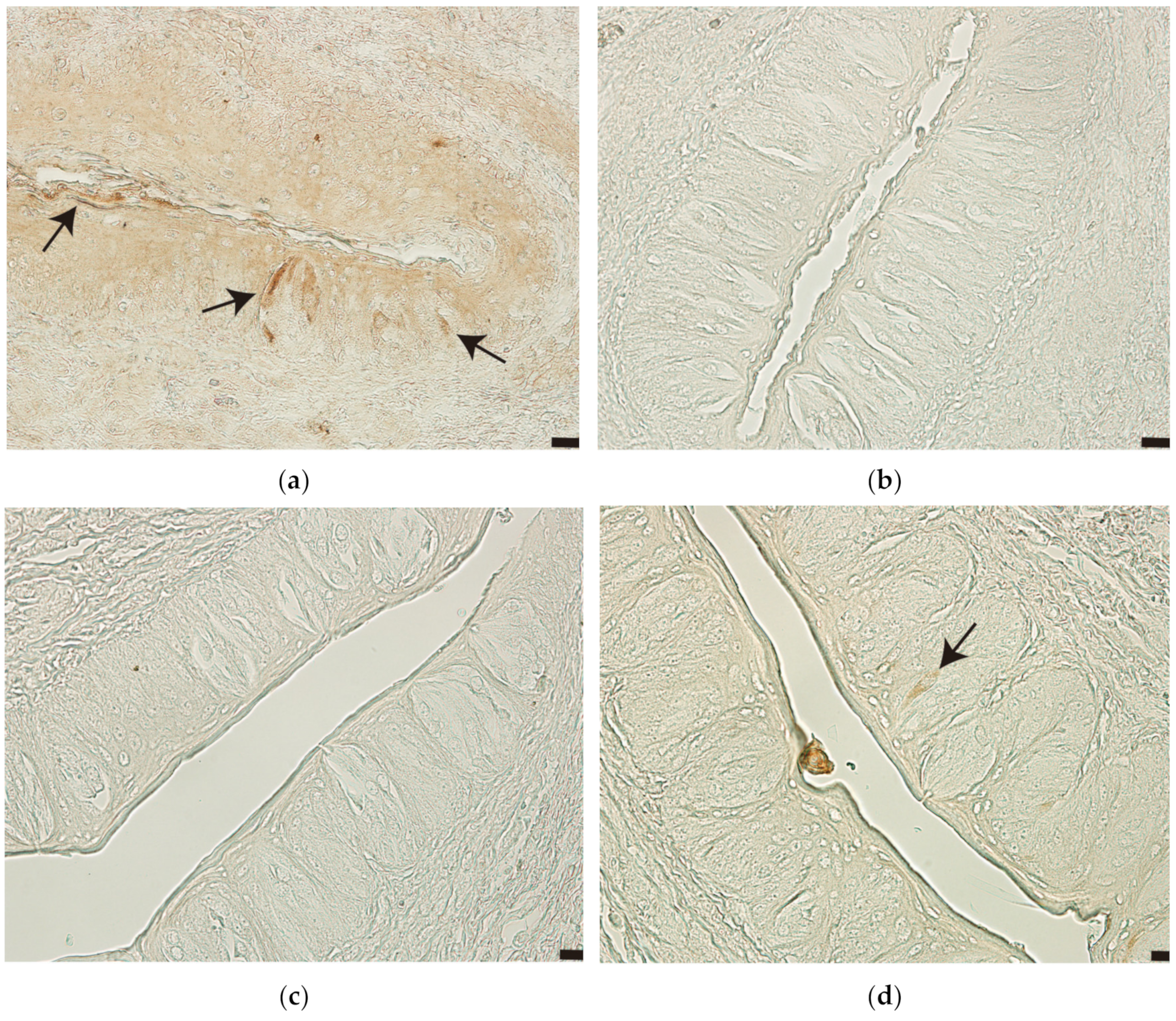 Applsci 13 11617 g005