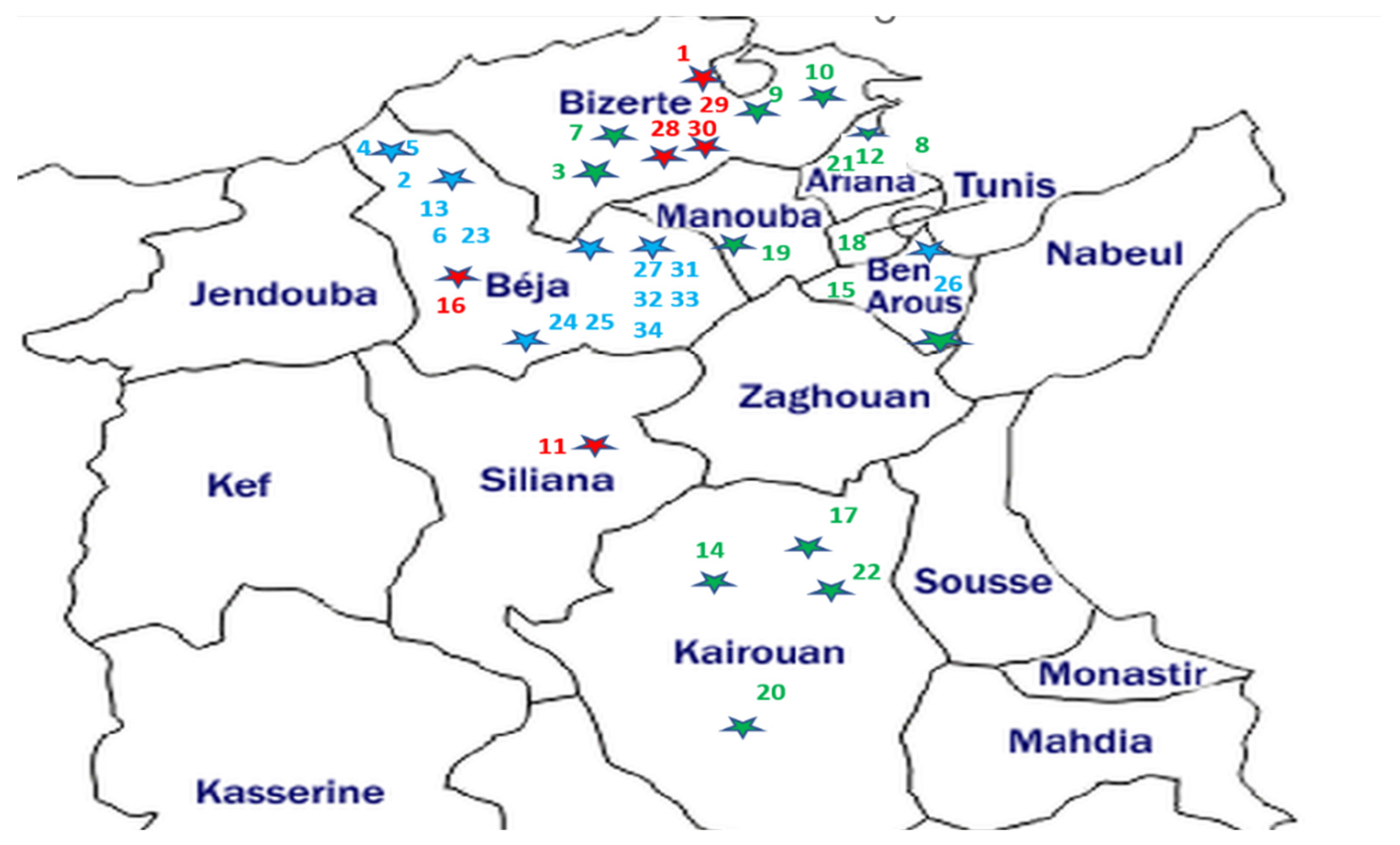 Applsci 13 11622 g001