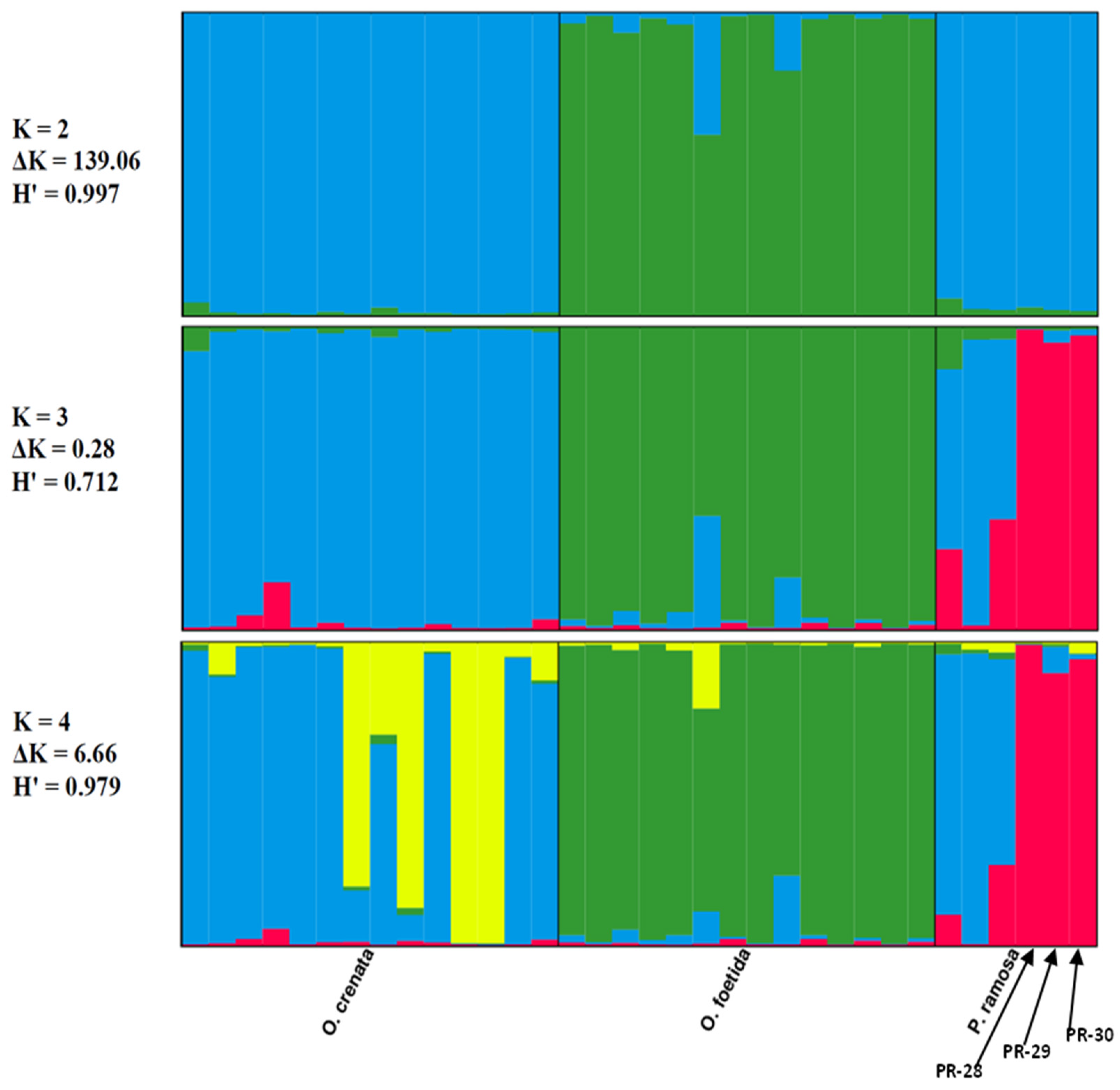 Applsci 13 11622 g004