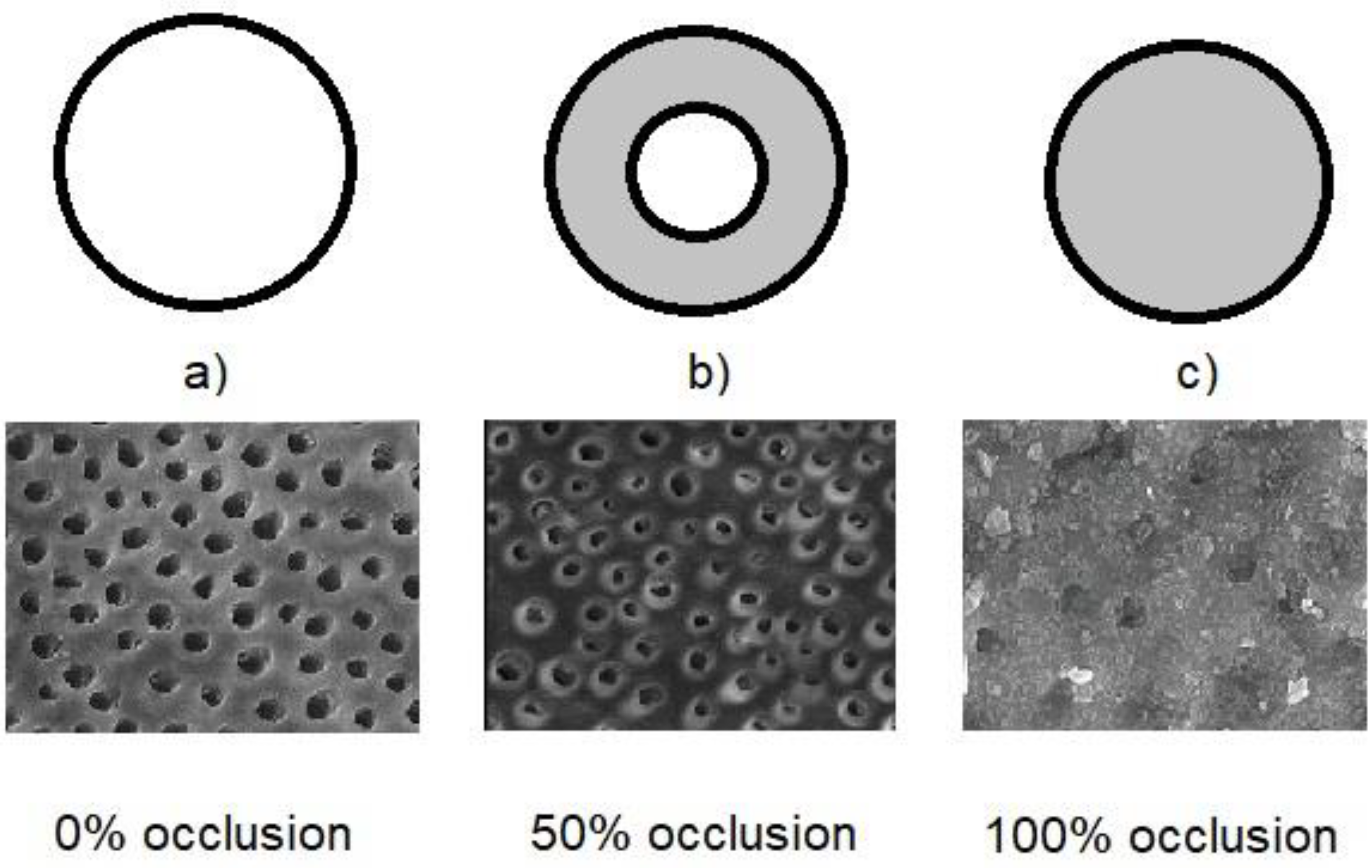 Applsci 13 11632 g002