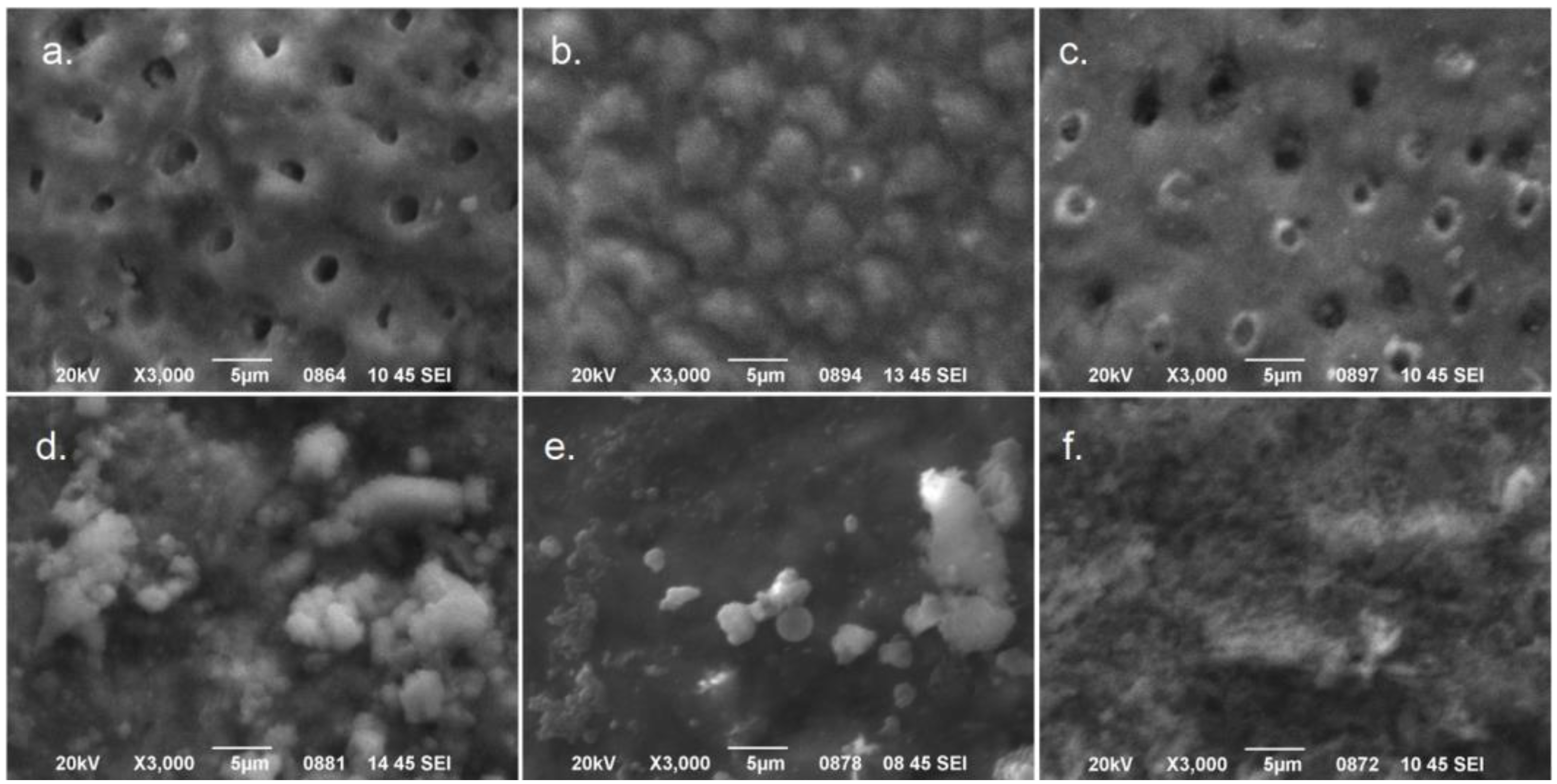 Applsci 13 11632 g003